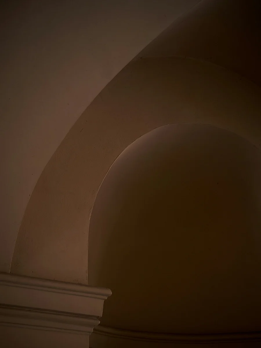 Interior view of arched architectural ceiling with soft lighting and a decorative molding near the bottom left.