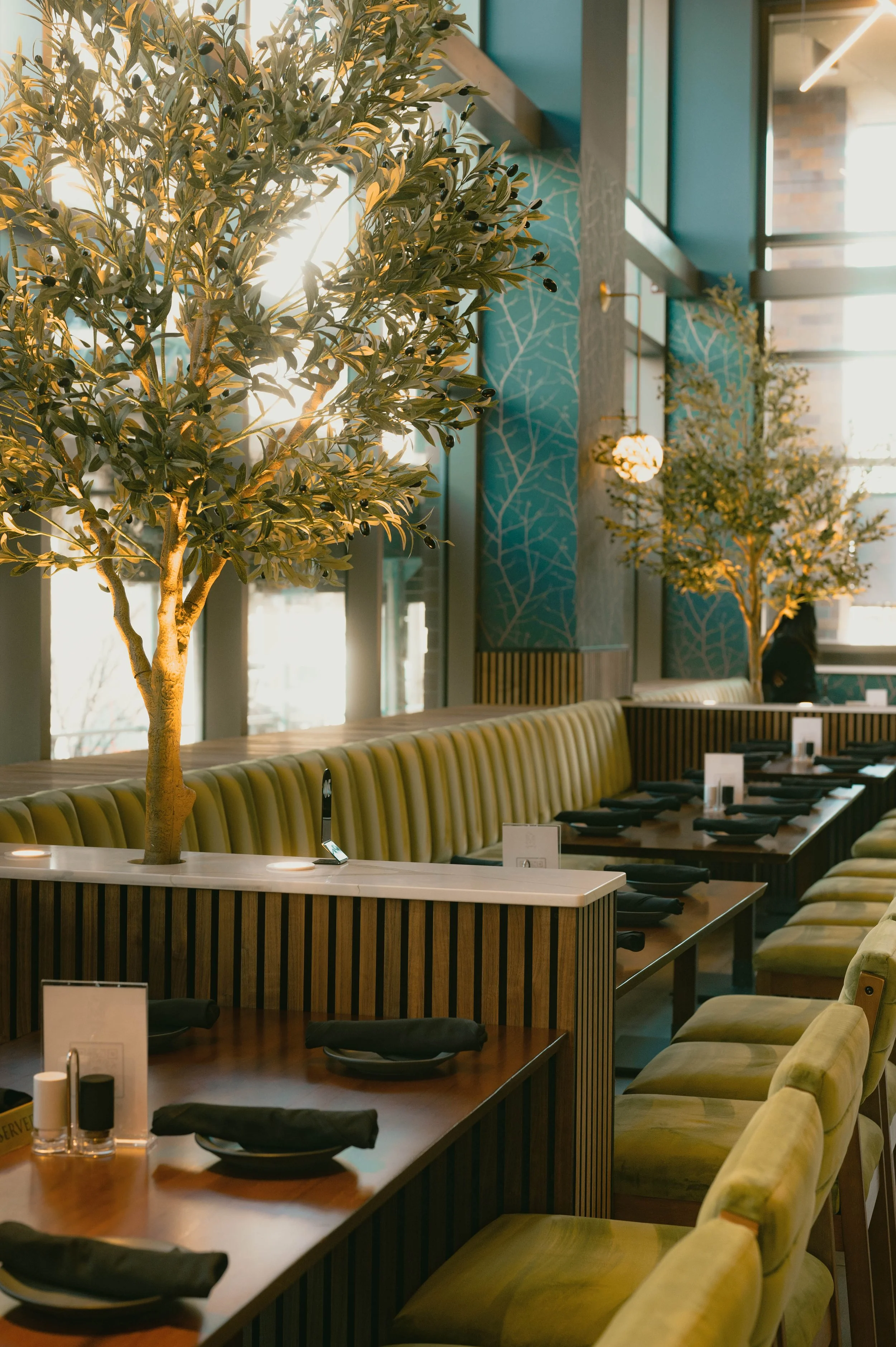 Copy of DSC_4056.jpg