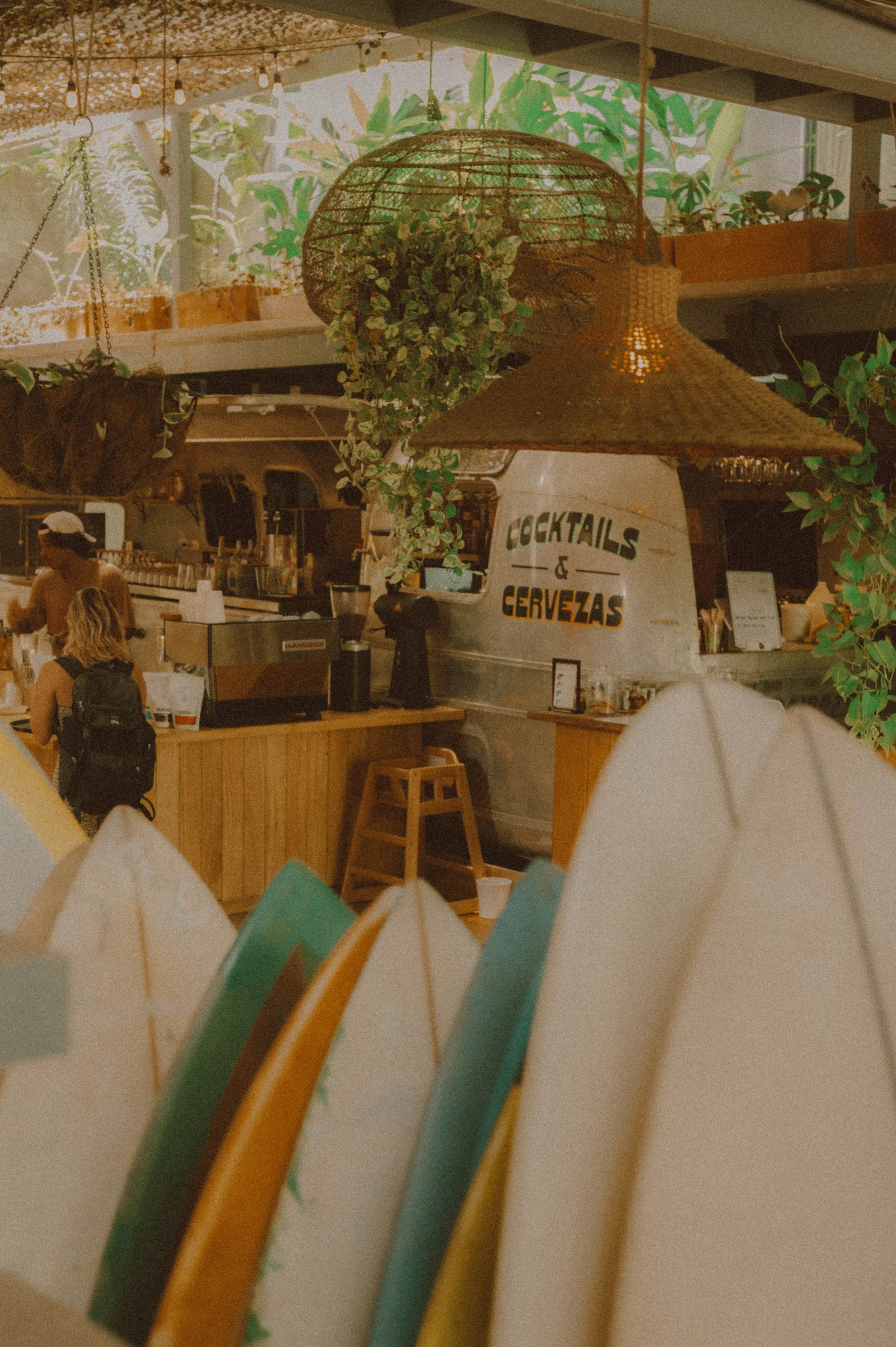 Copy of DSC_8181.jpg