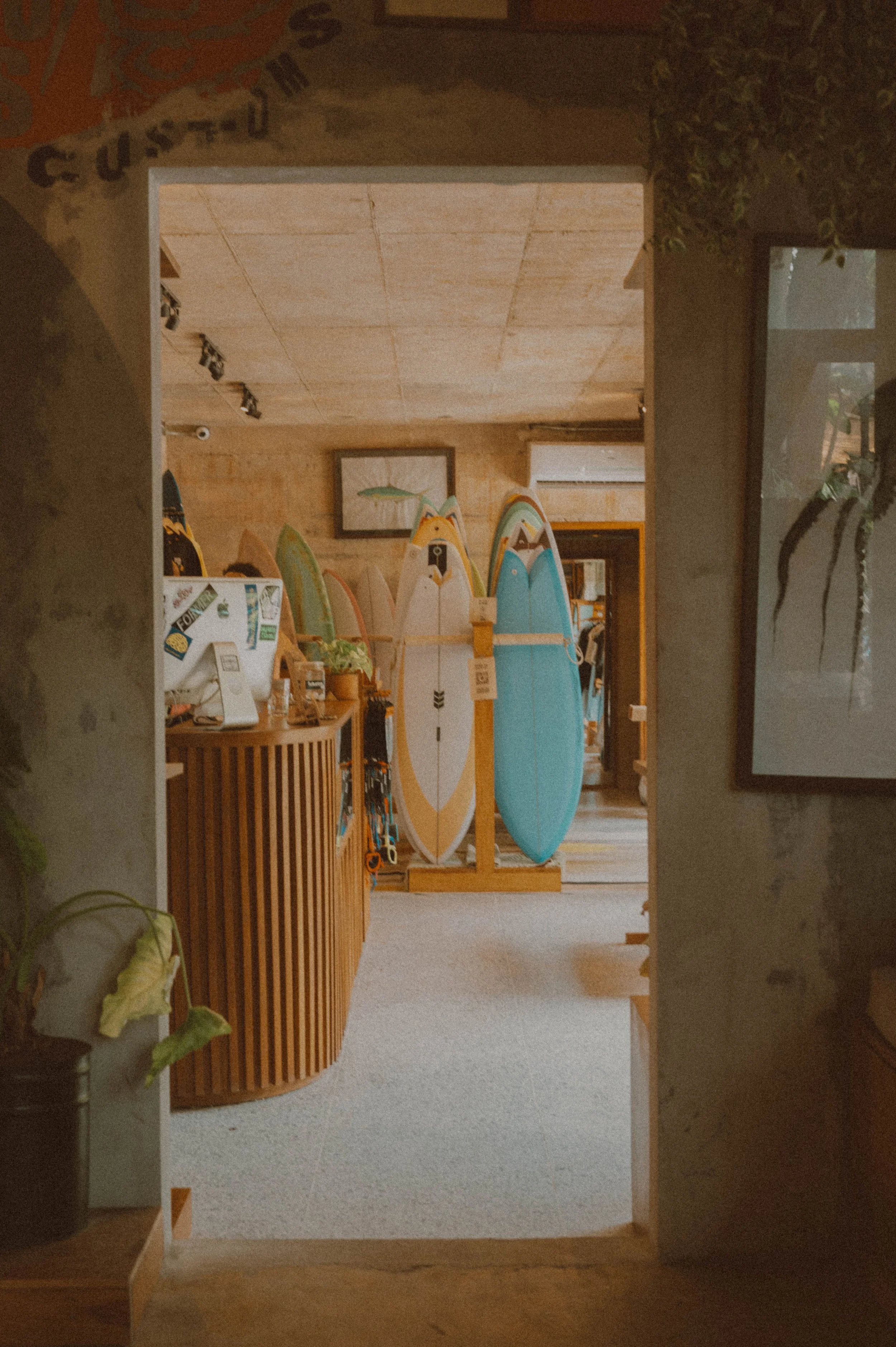 Copy of DSC_8197.jpg