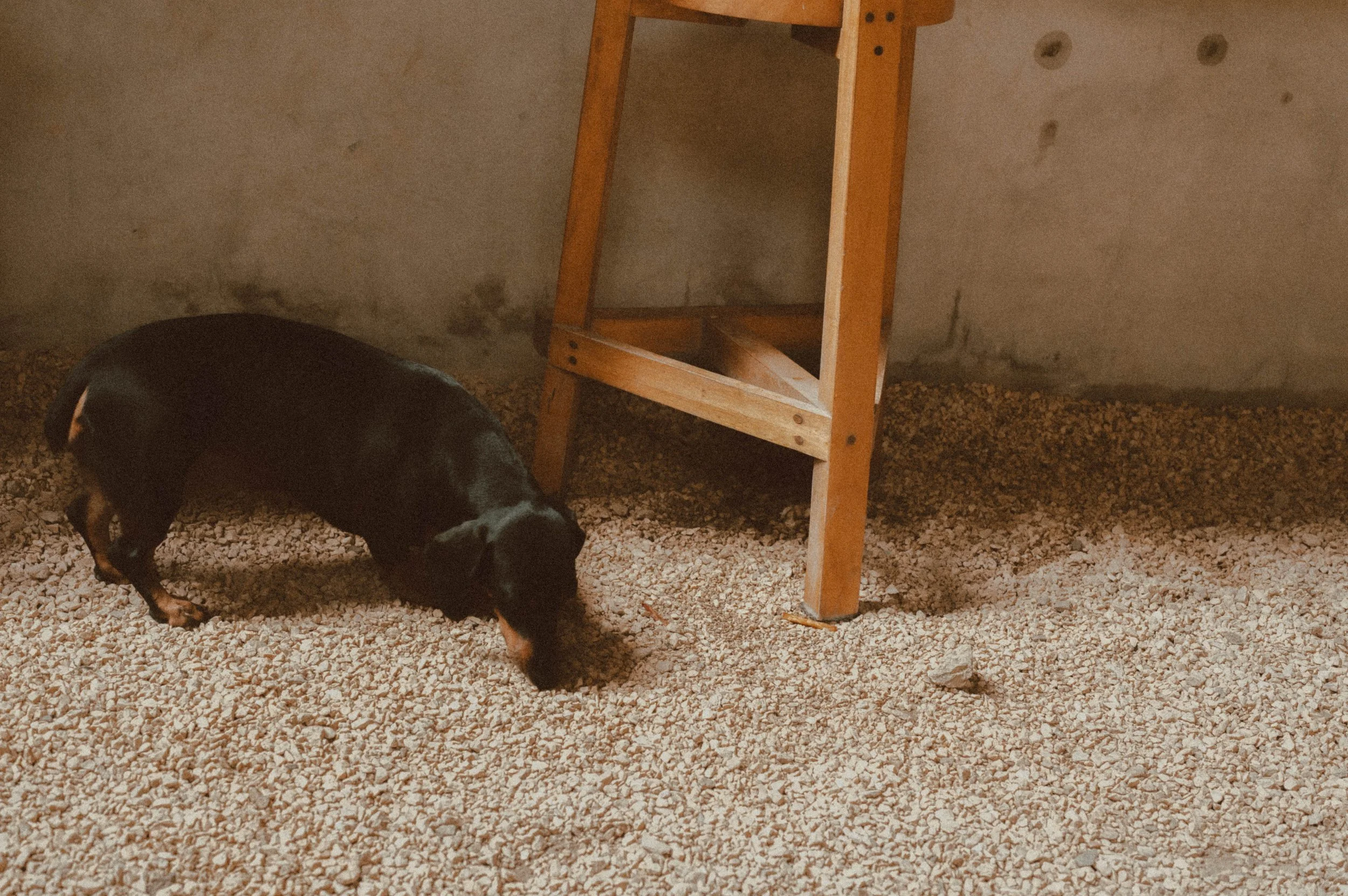 Copy of DSC_8165.jpg