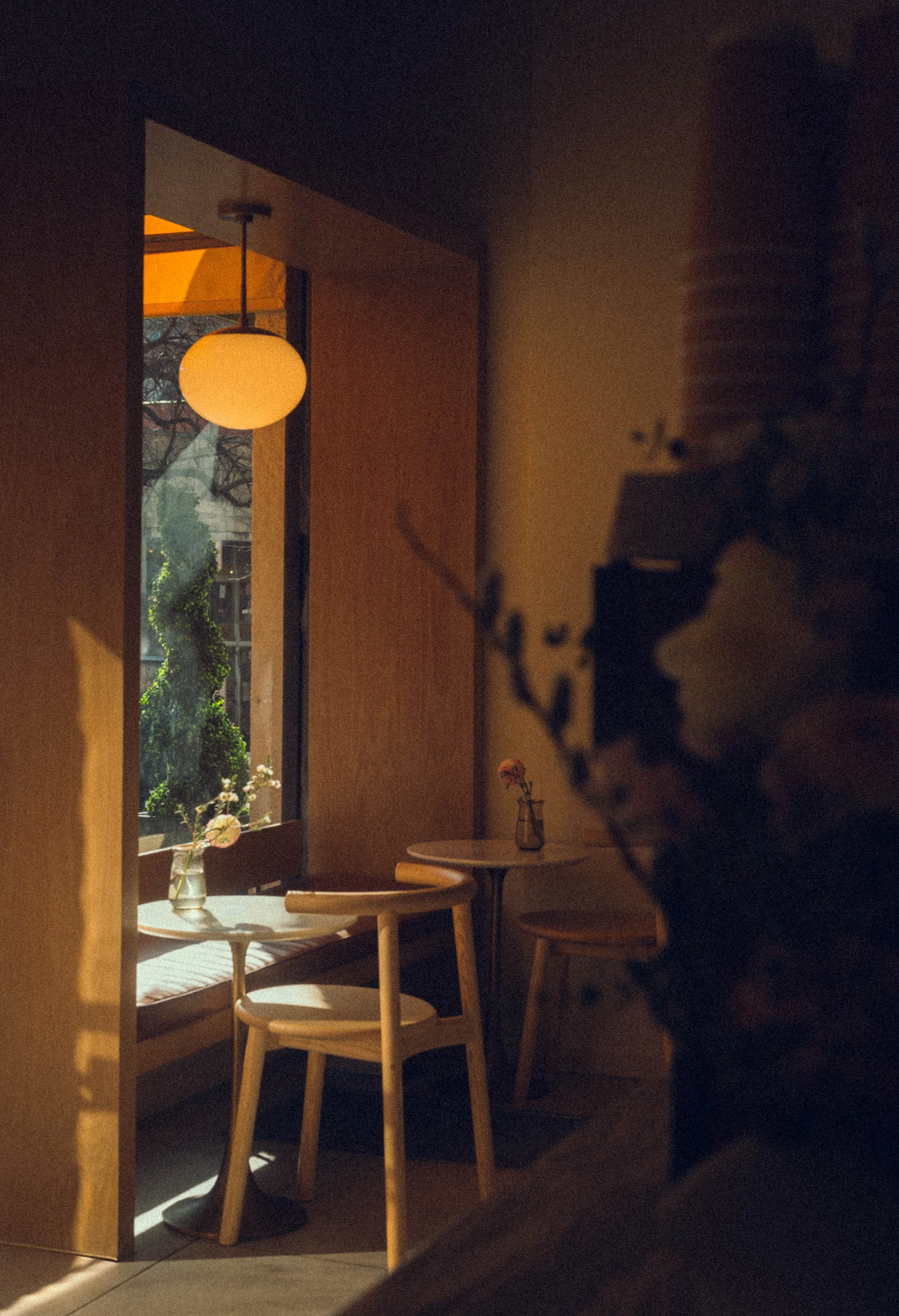 Copy of DSC_7133.jpg