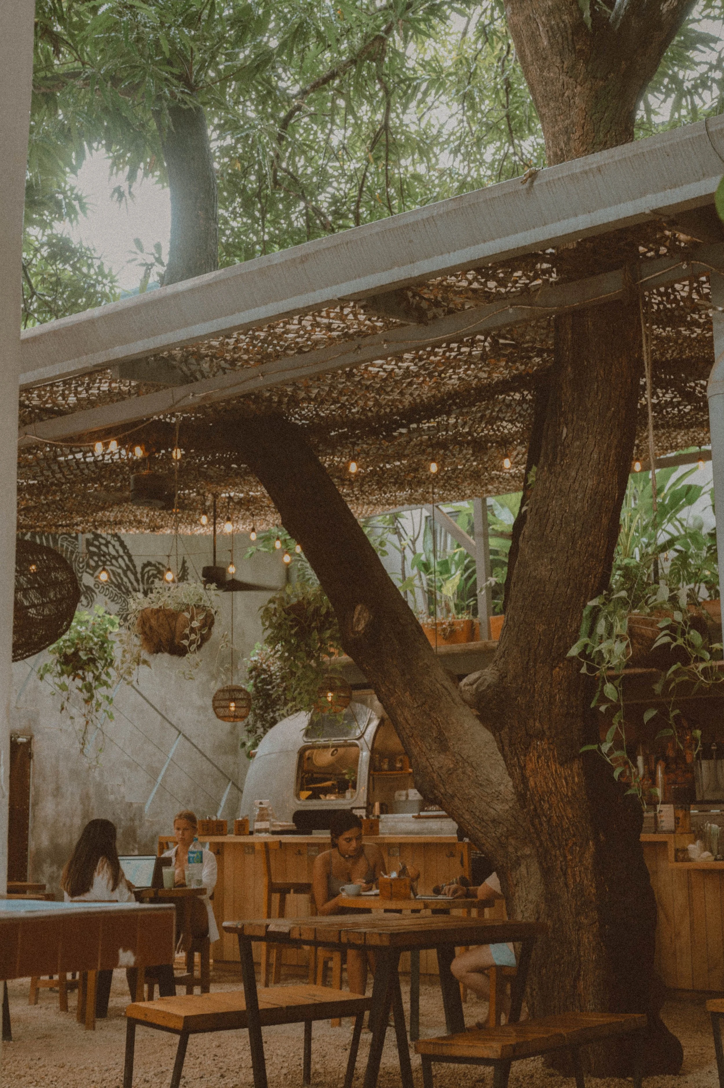 Copy of DSC_8157.jpg