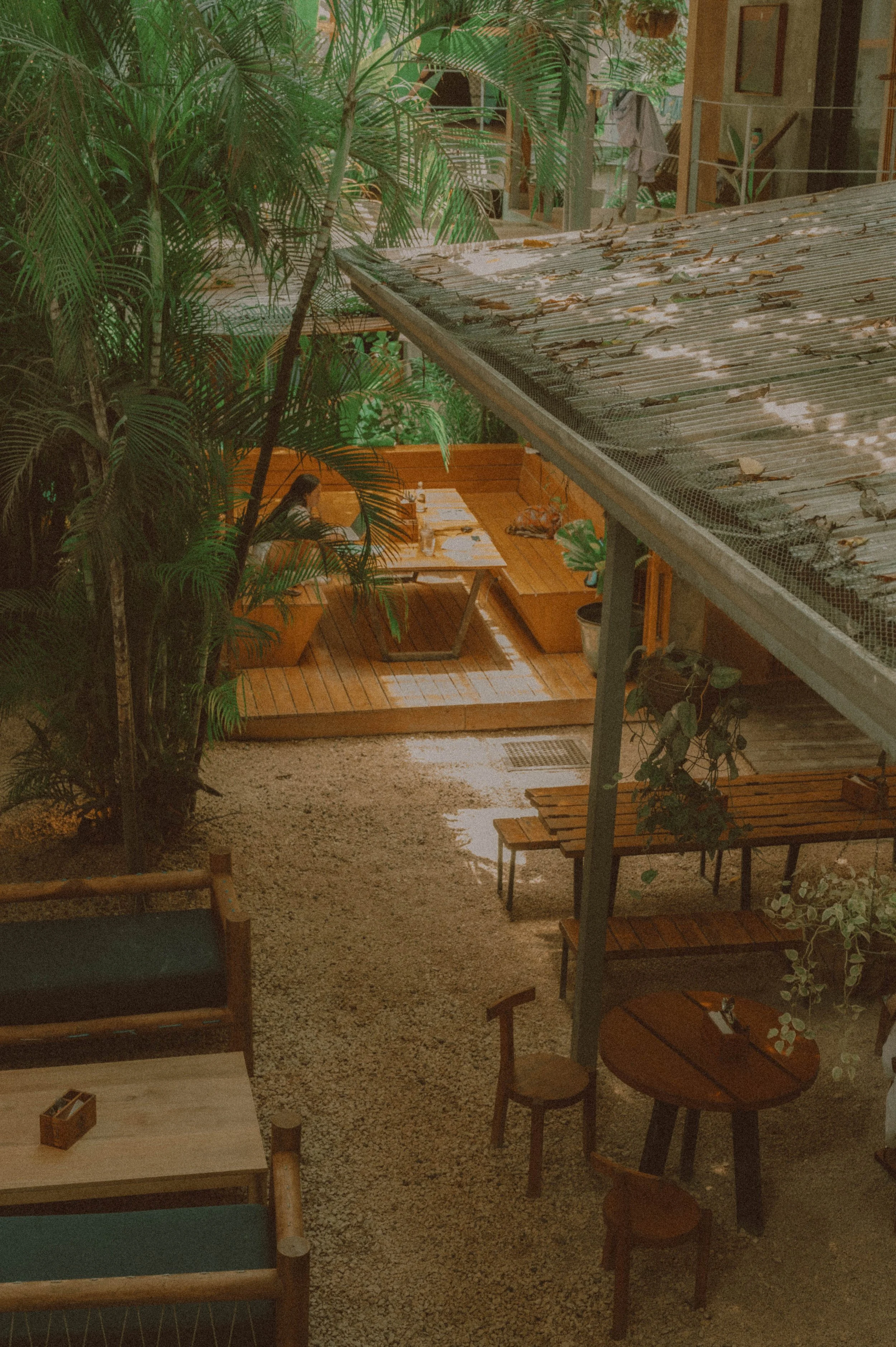 Copy of DSC_8185.jpg