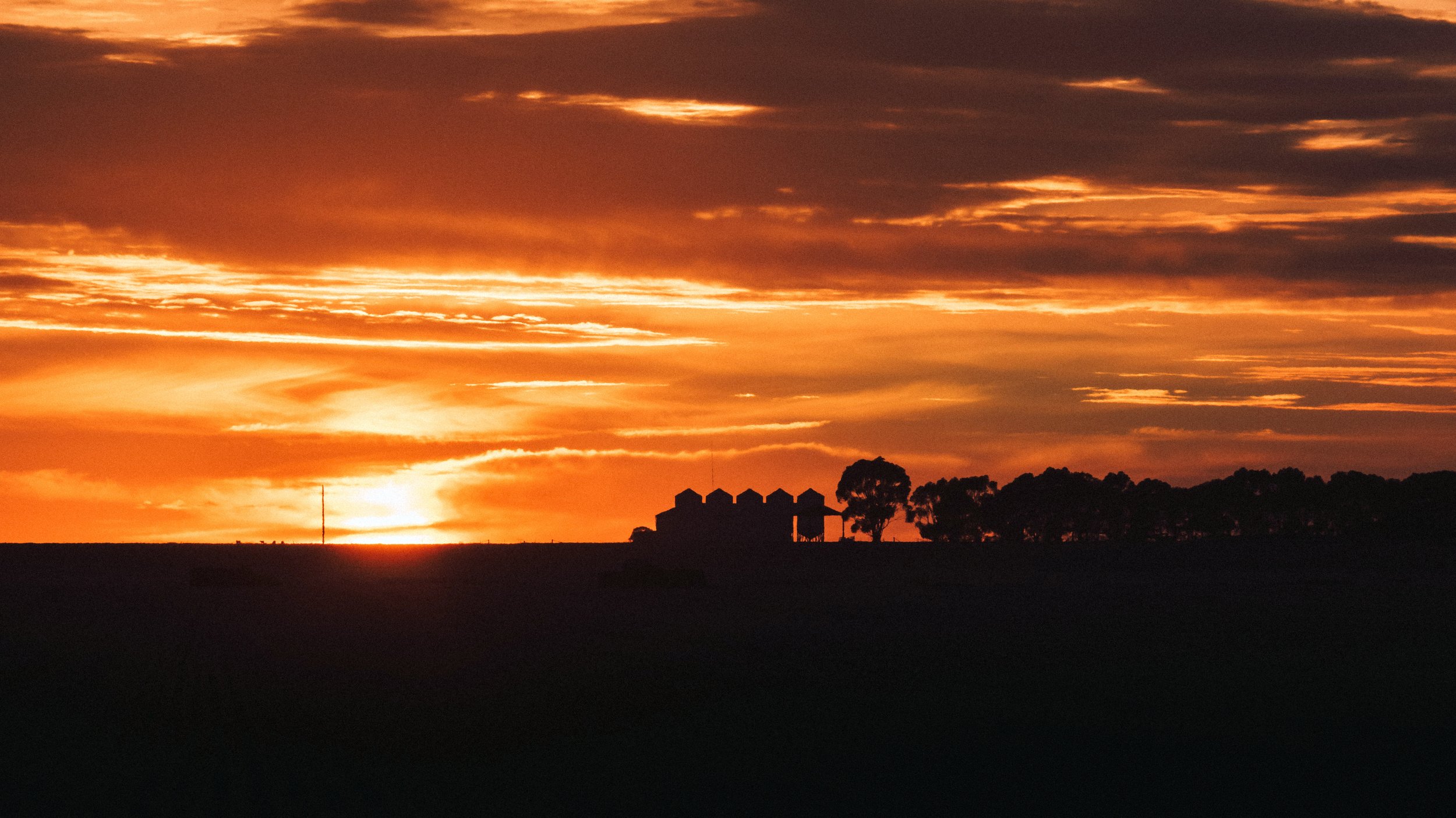 Farm Silhouettes, Dawn, Marnoo, Victoria, 2025
