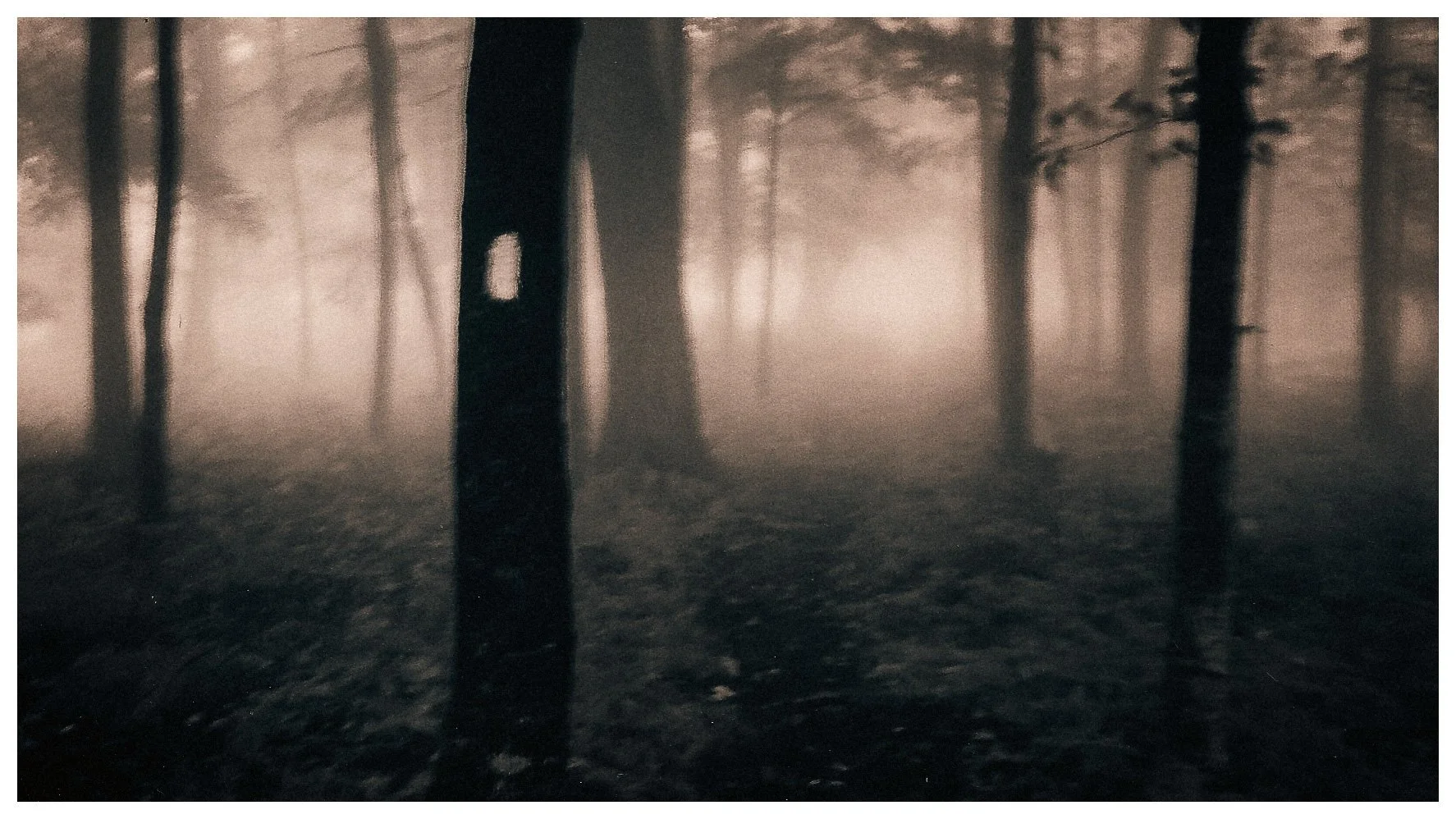White Blaze Hallucinations, Appalachian Trail, USA, 2004 (film)