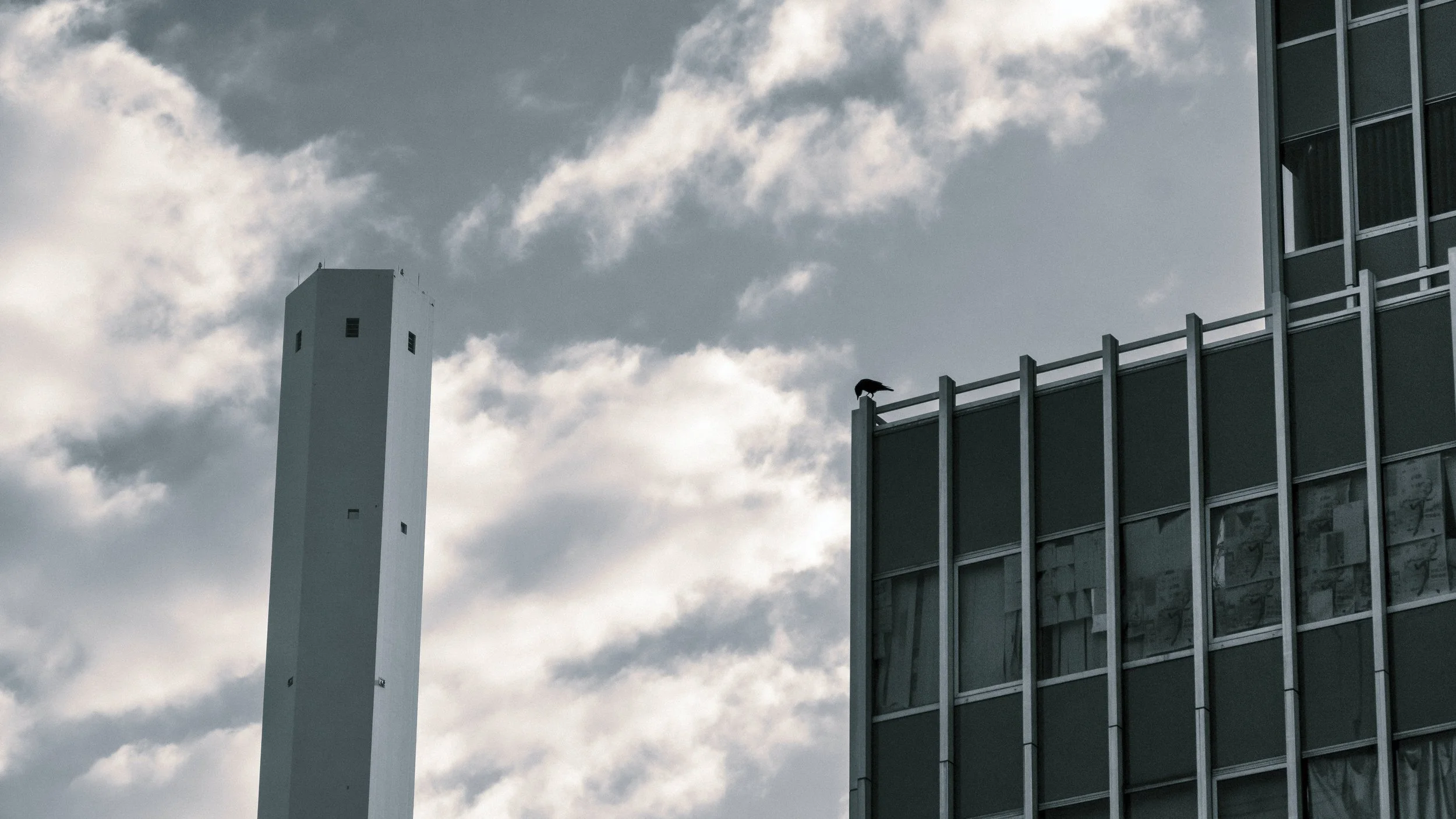 Crow & Incinerator Chimney, Ikebukuro, Tokyo, 2022