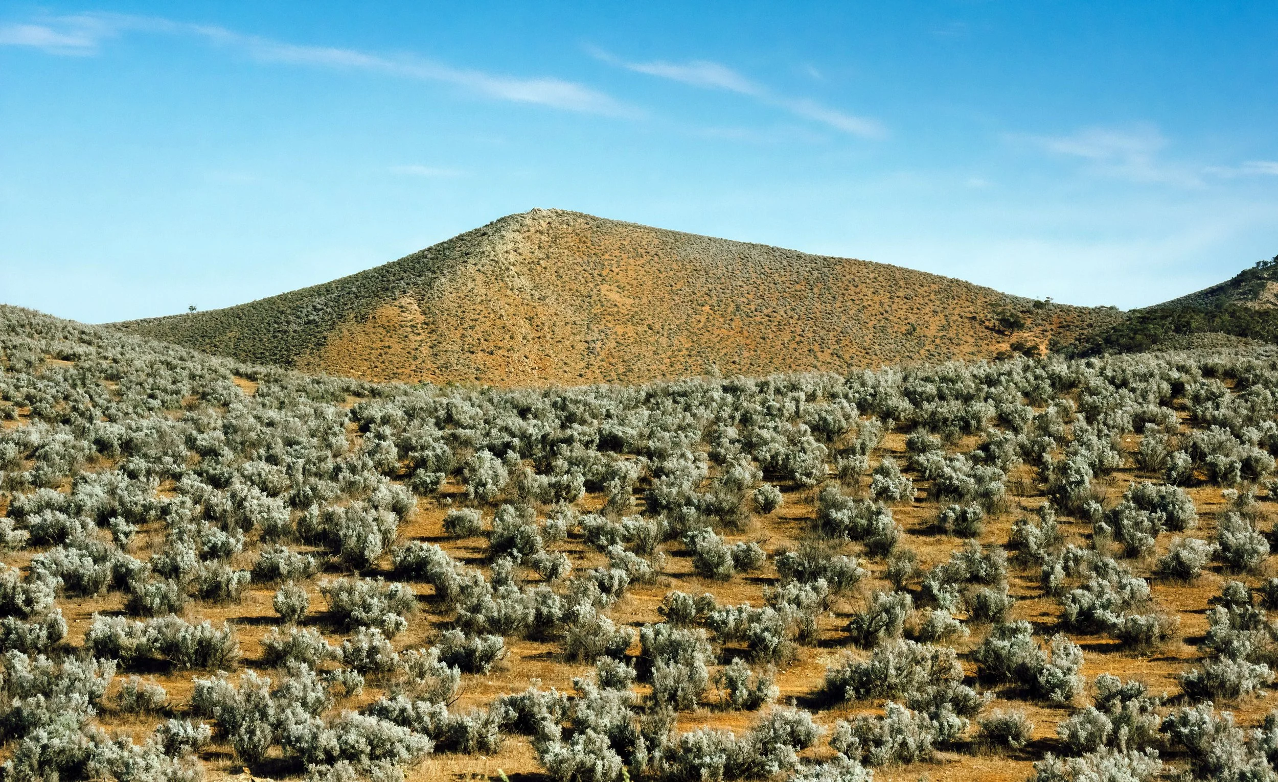 Morning near Port Augusta, South Australia, 2023