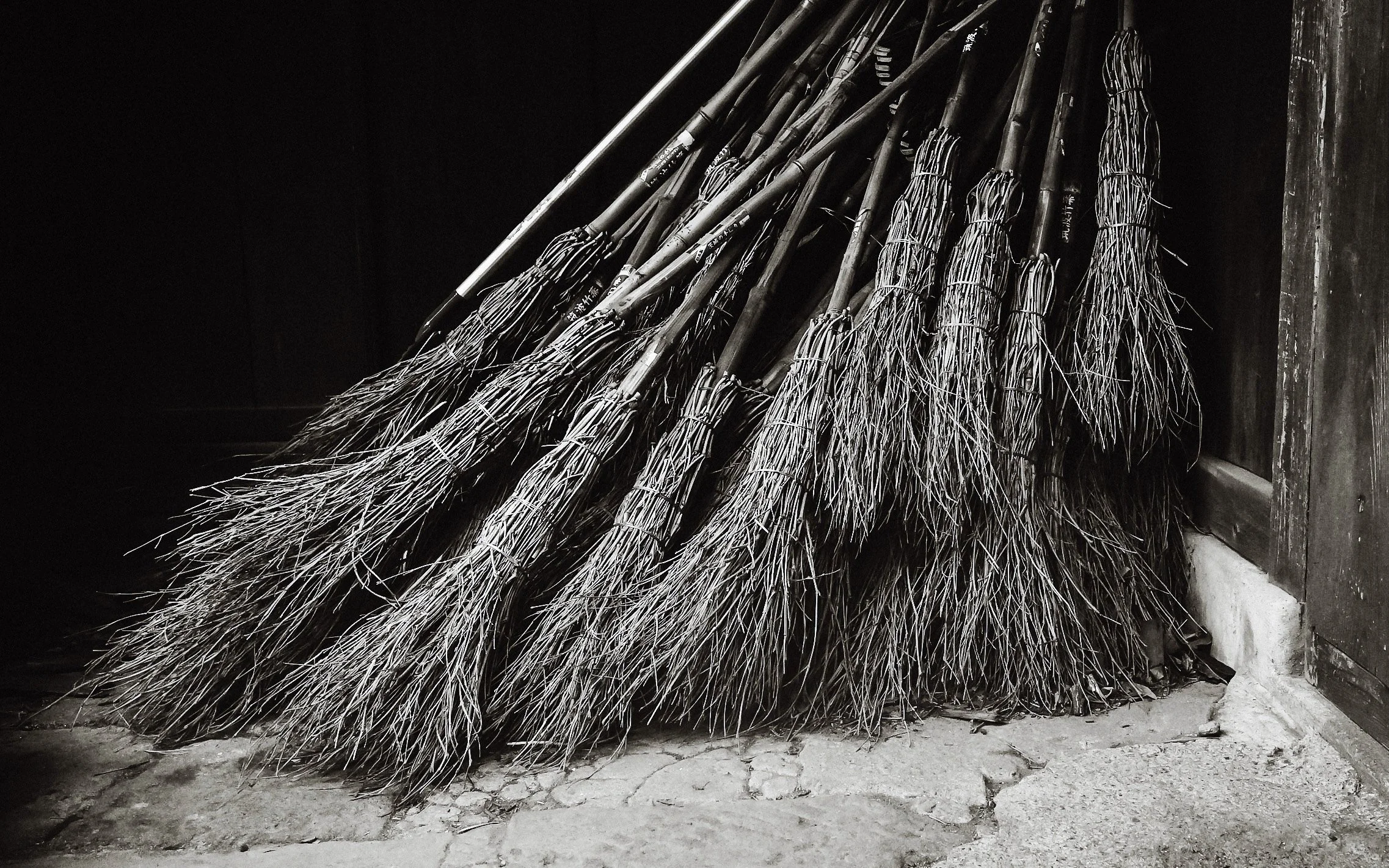 Broomstick Cluster, Yanaka Cemetery, Tokyo, 2020