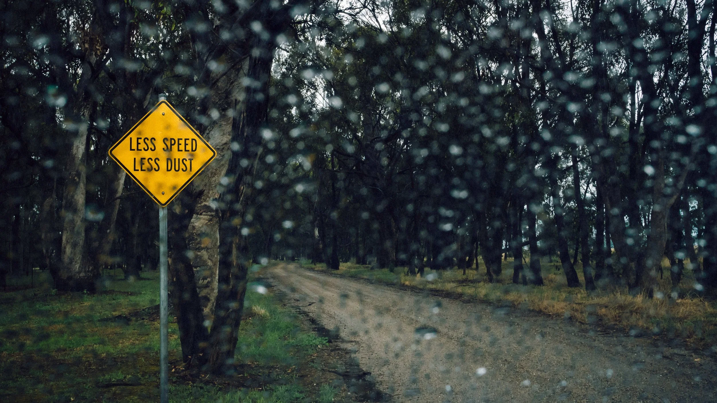 More Rain, Charlton, Victoria, 2024