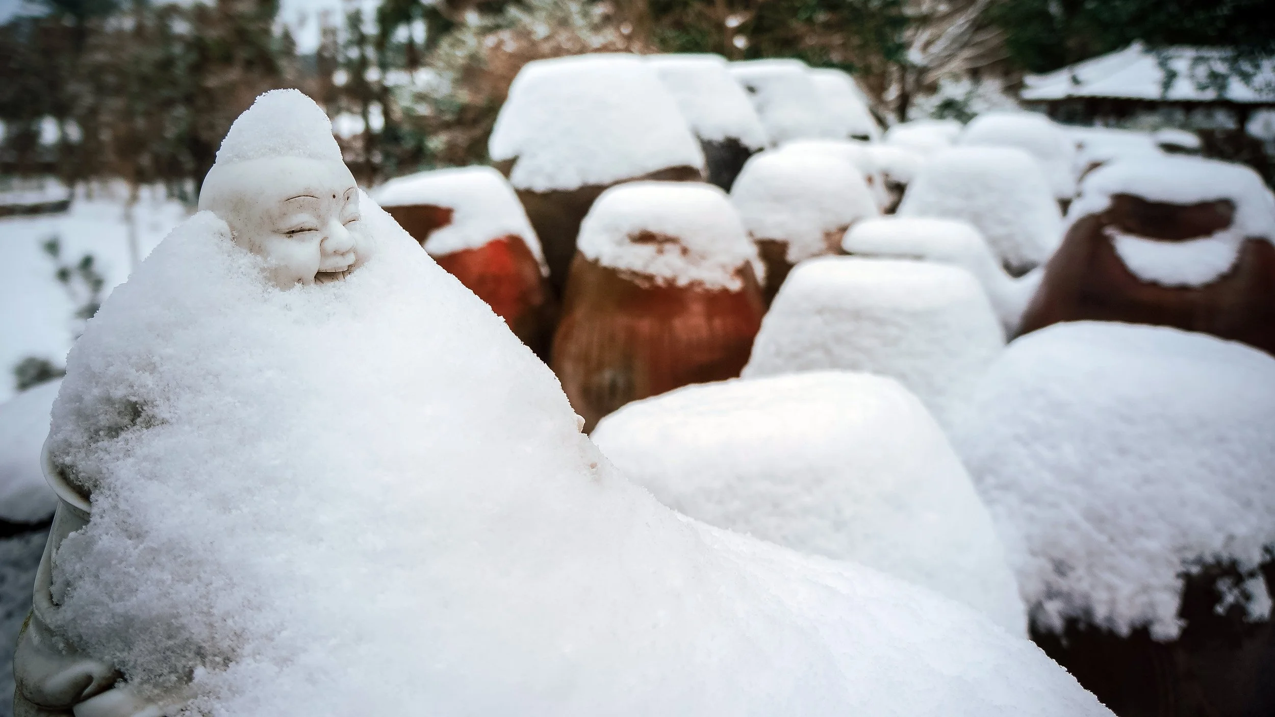 The Buddha & the Kimchi Jars, Jeju Island, South Korea, 2012