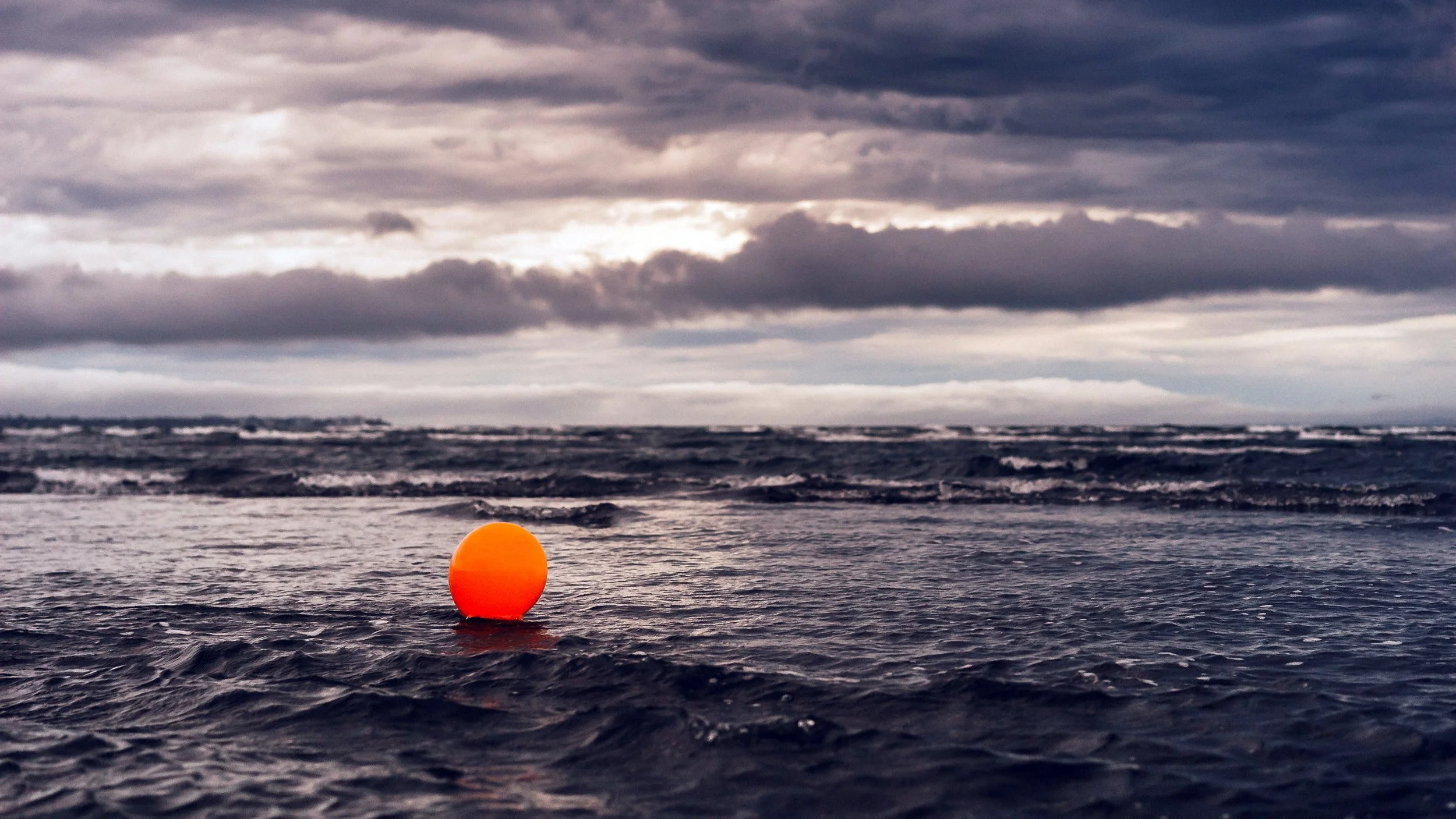 Adrift, Sandgate, Brisbane, 2018