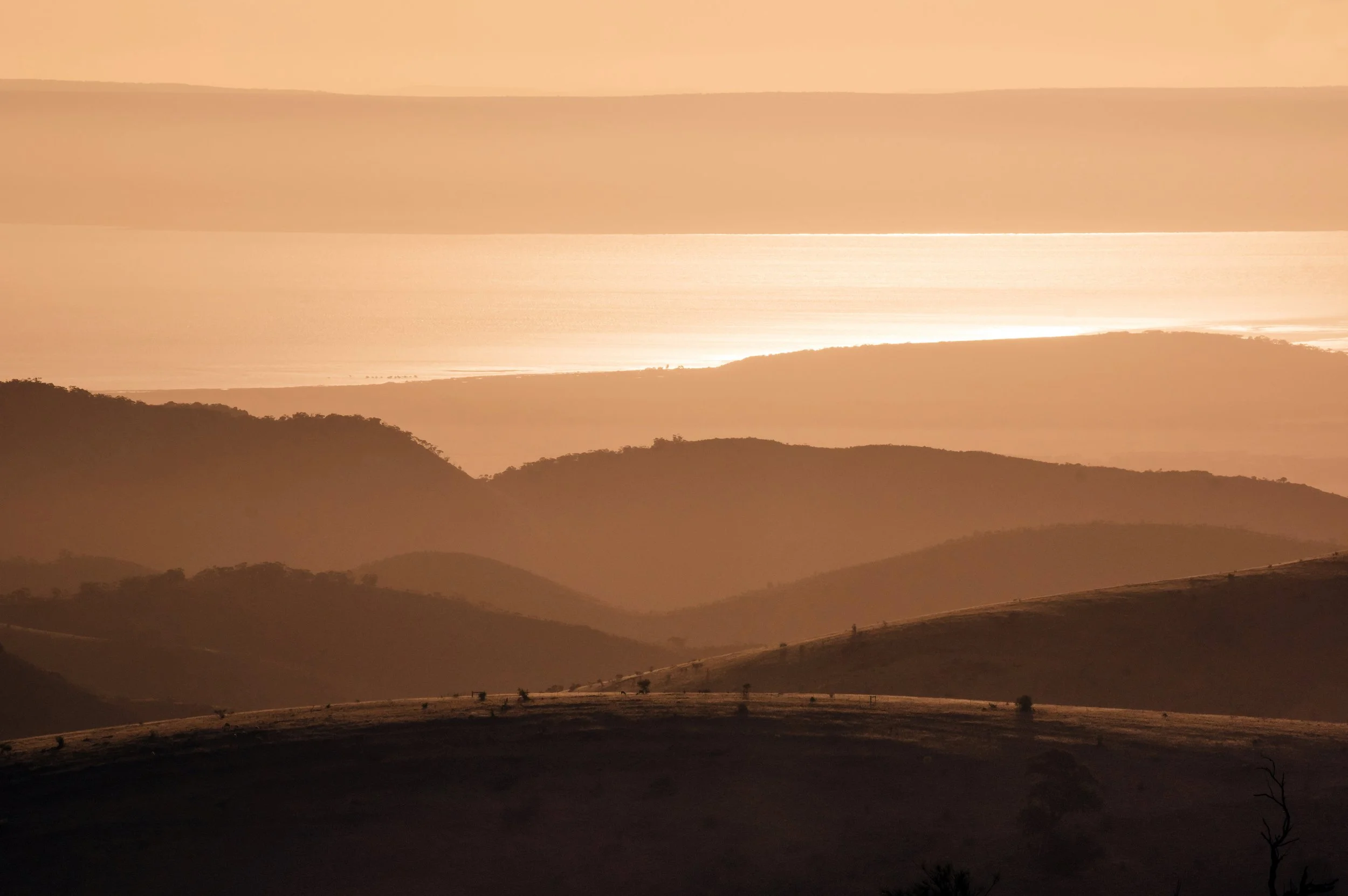Bands of Gold, Horrocks Pass, South Australia, 2023