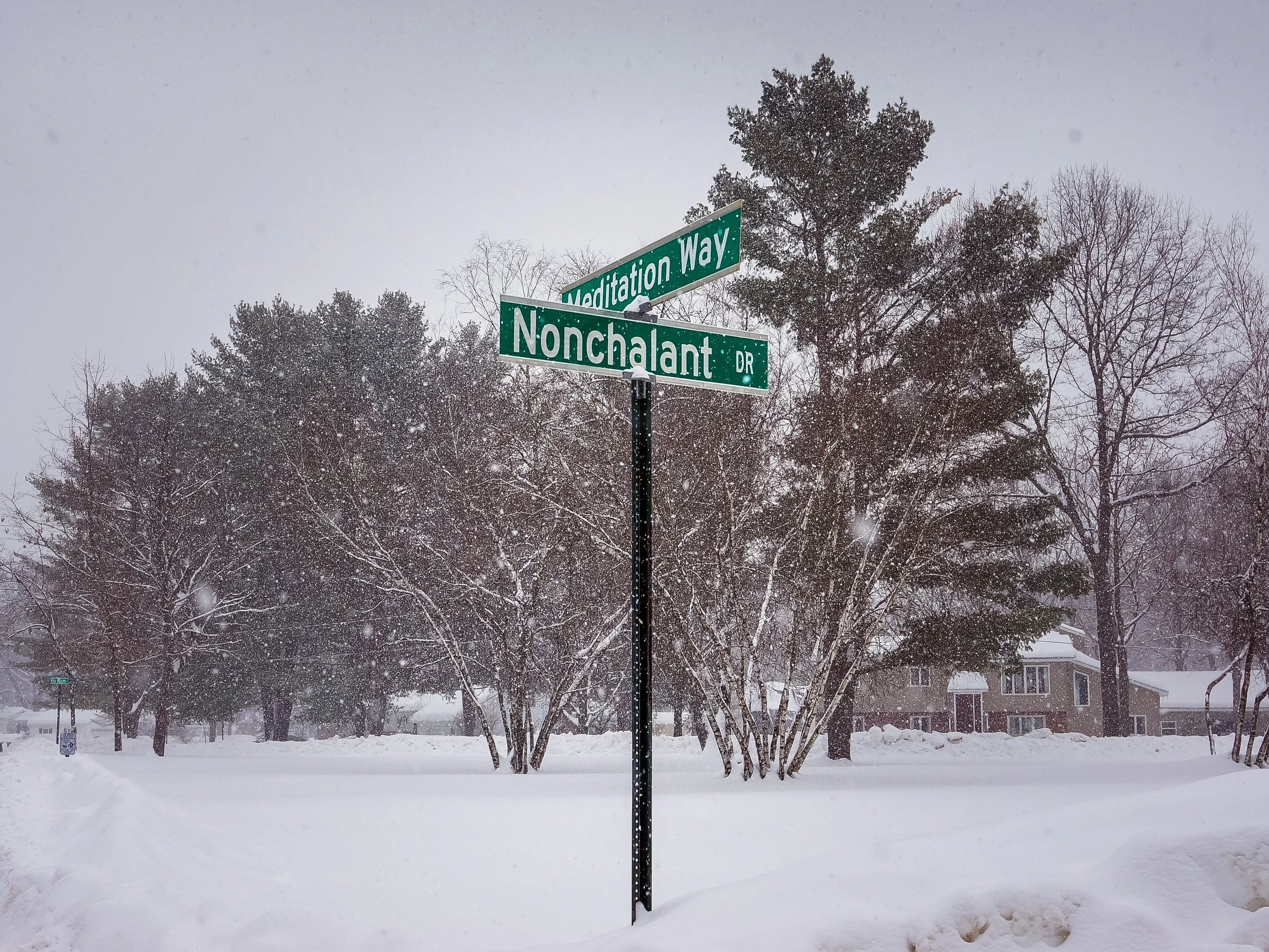 Suburban Mindfulness, Saratoga Springs, NY, USA, 2014