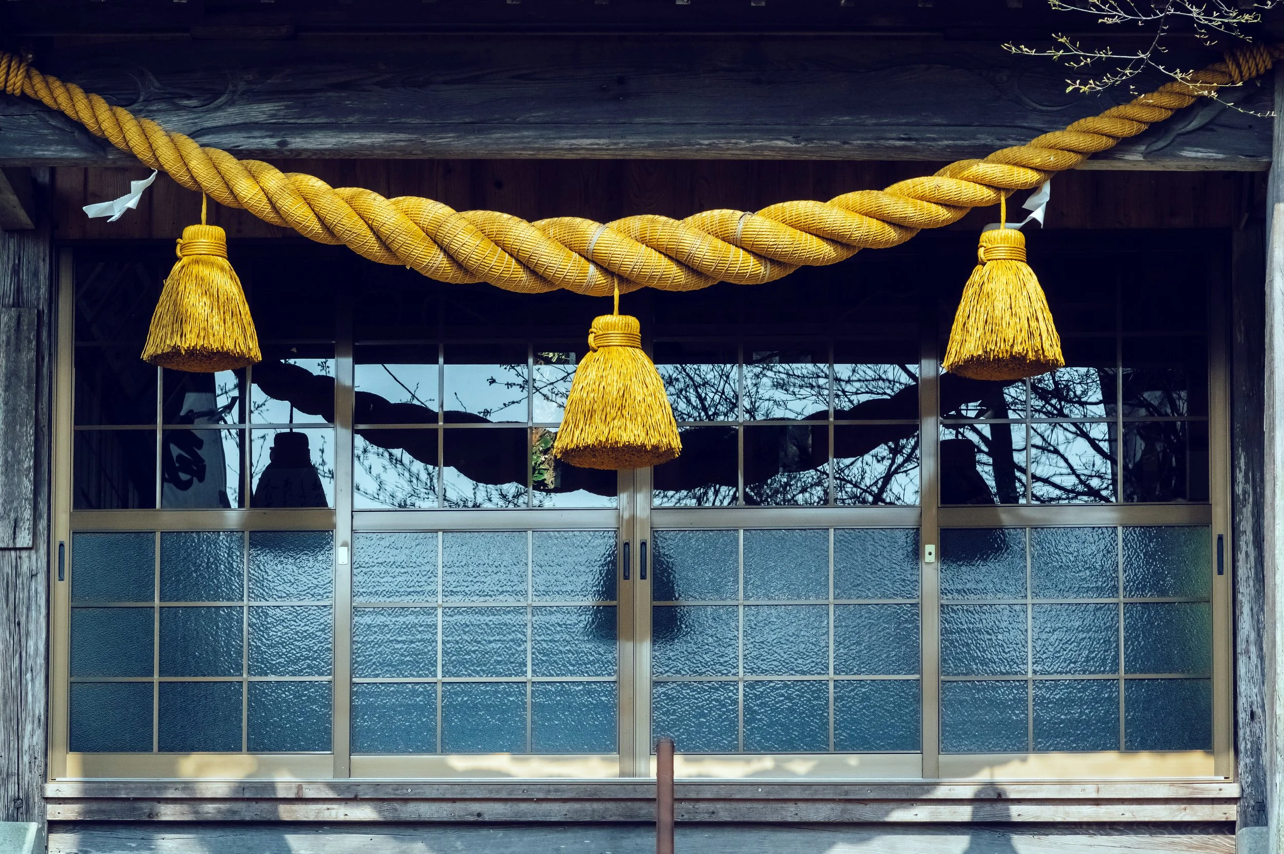Shimenawa - Rice Straw Ropes - at Shimomiya Shrine, Ōita Prefcture, Japan, 2018