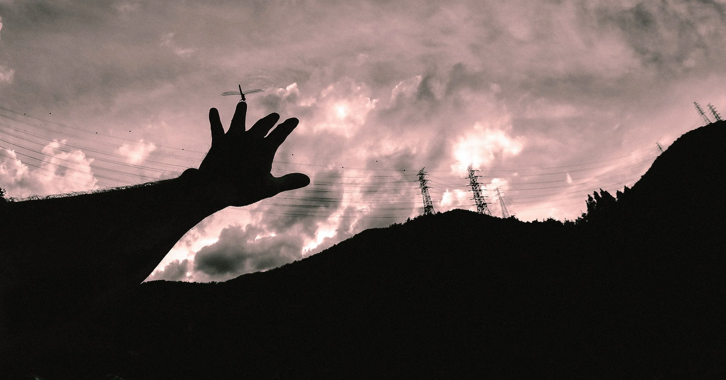 Contact, Jangyu, South Korea, 2013