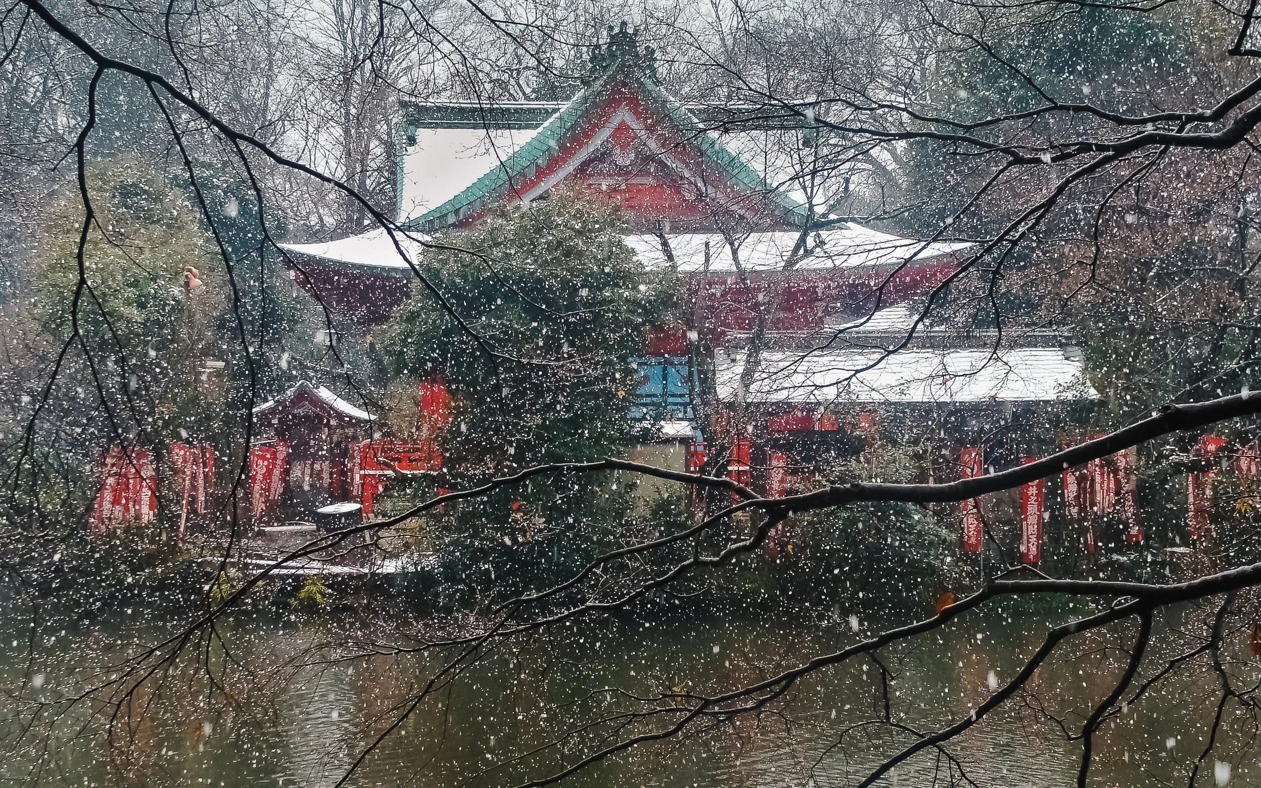 Benzaiten & A Rare Snowfall, Kichijoji, Tokyo, 2008