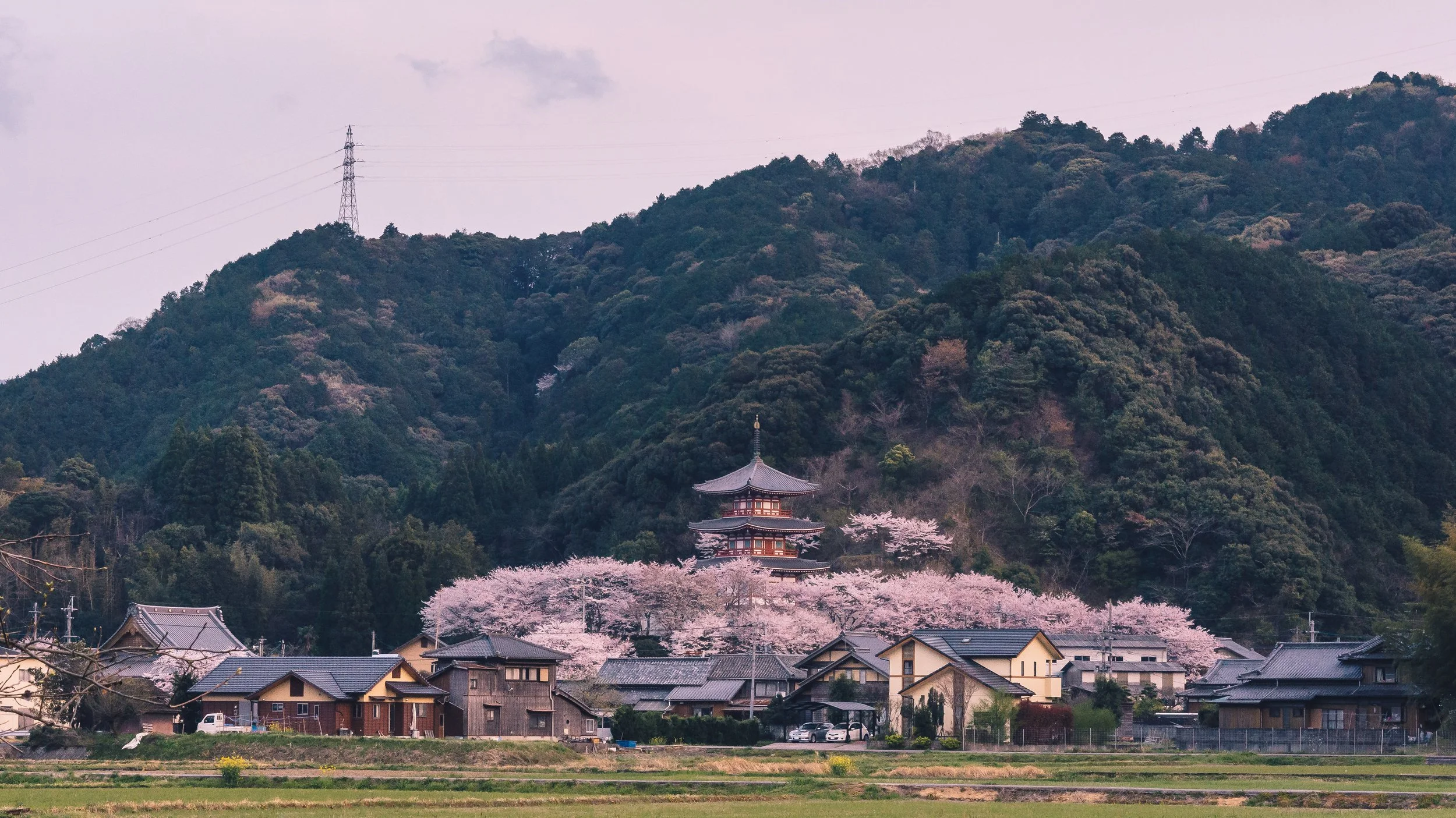 Nearing Usuki at Sundown, a View of Distant Ryugen-ji, Usuki, Ōita Prefecture, Japan, 2018