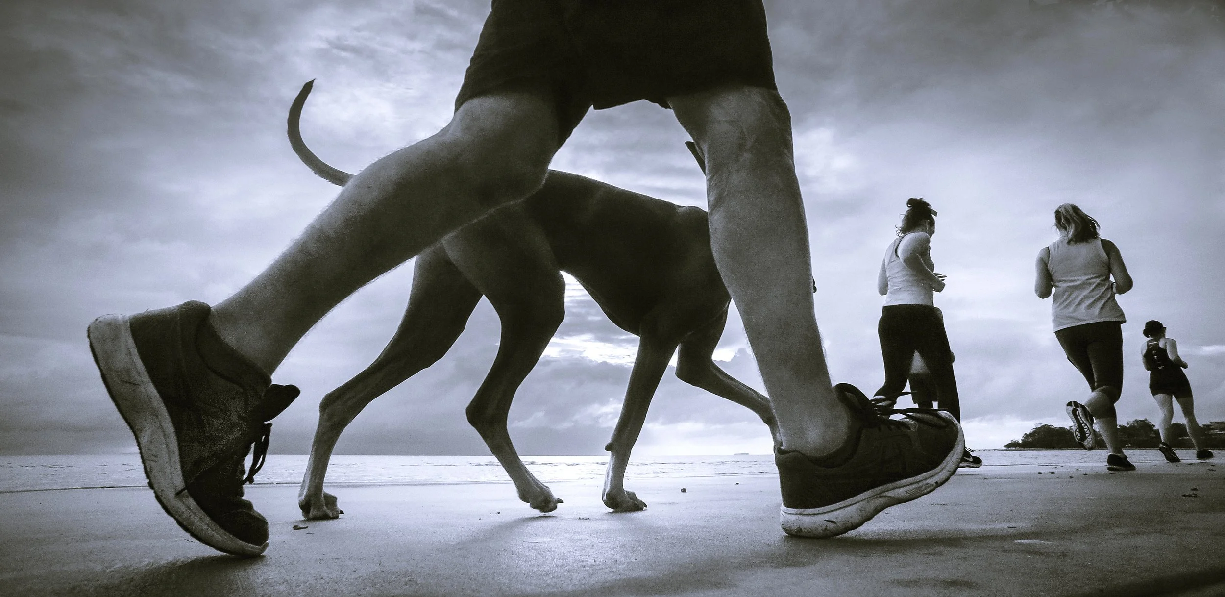 Struttin' on the Waterfront, Sandgate, Brisbane, 2019