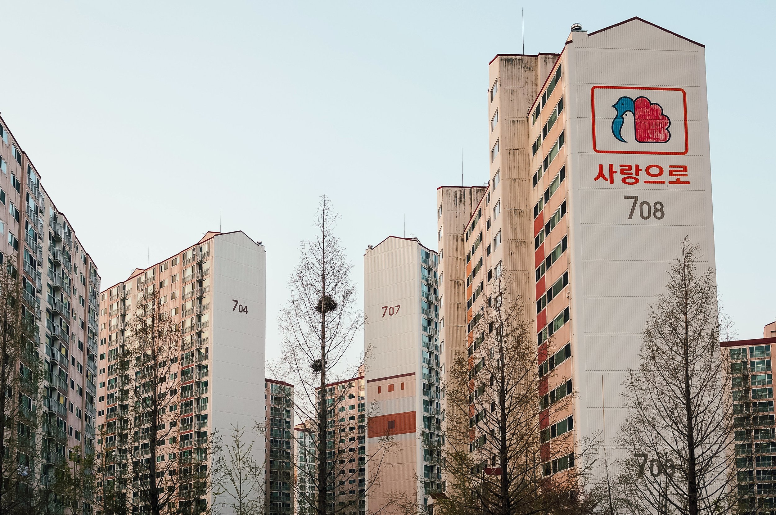 Birdland, Jangyu, South Korea, 2013