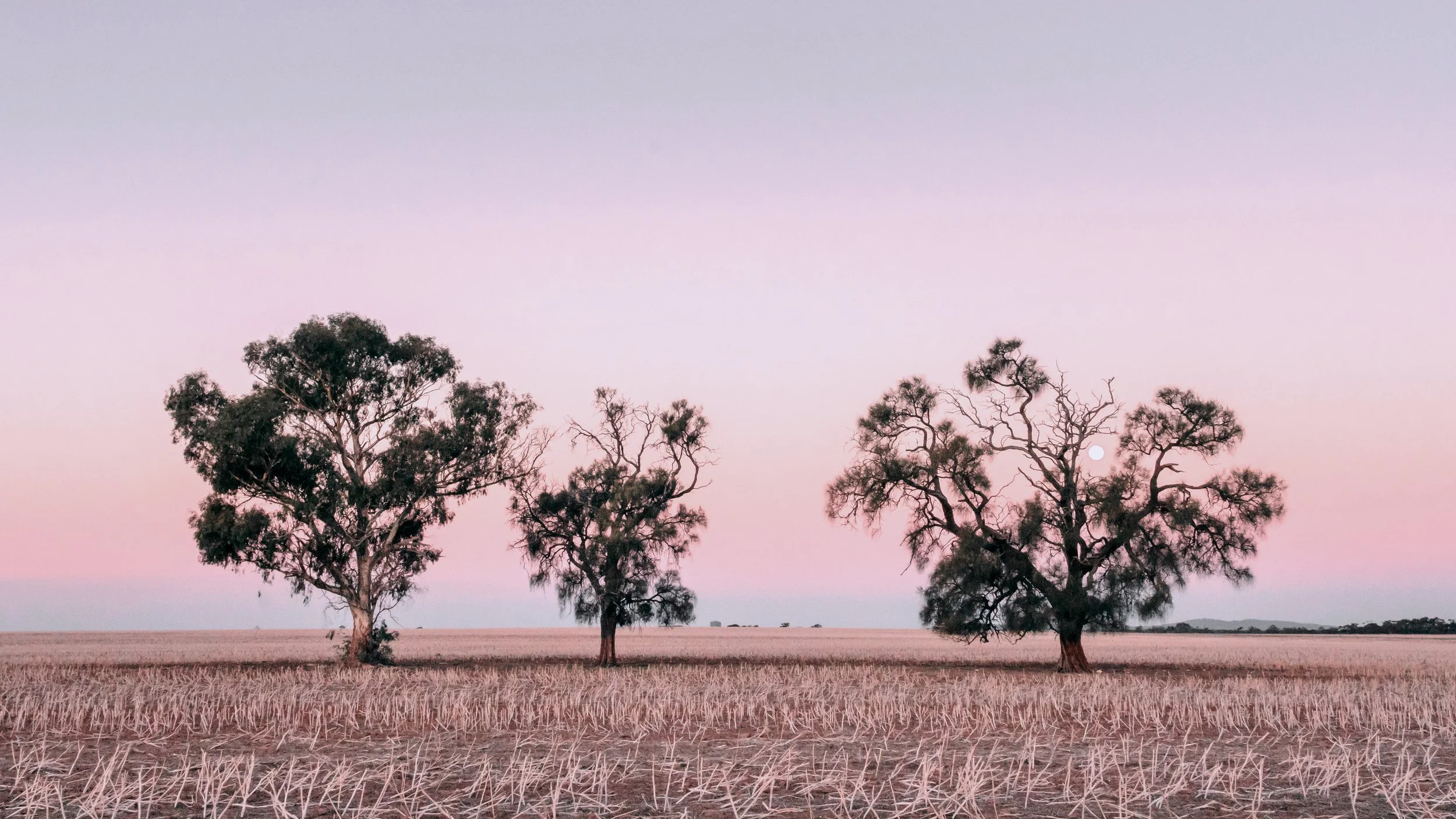 Moonrise, North-Western Victoria, 2025