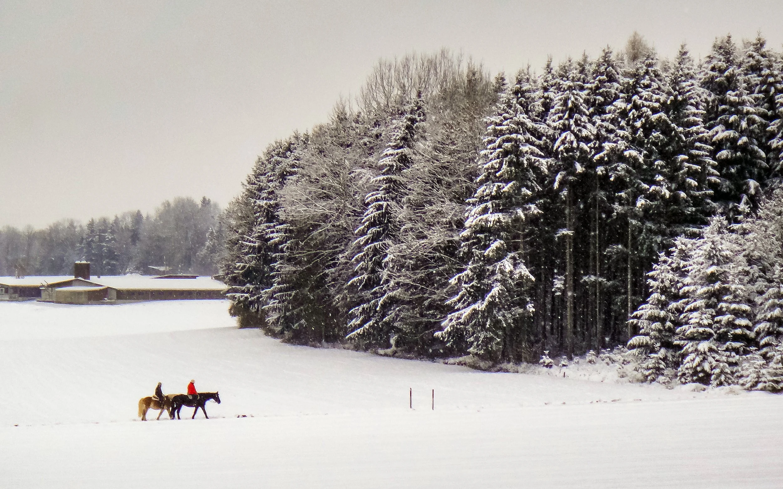 Two Riders Were Approaching: Christmas Day Near Cham, Switzerland, 2010