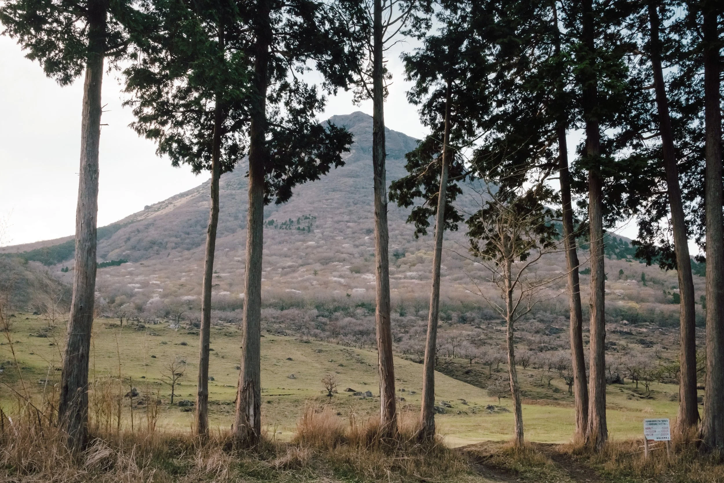 Yufu-Dake from the Trailhead, Ōita Prefecture, Japan, 2023