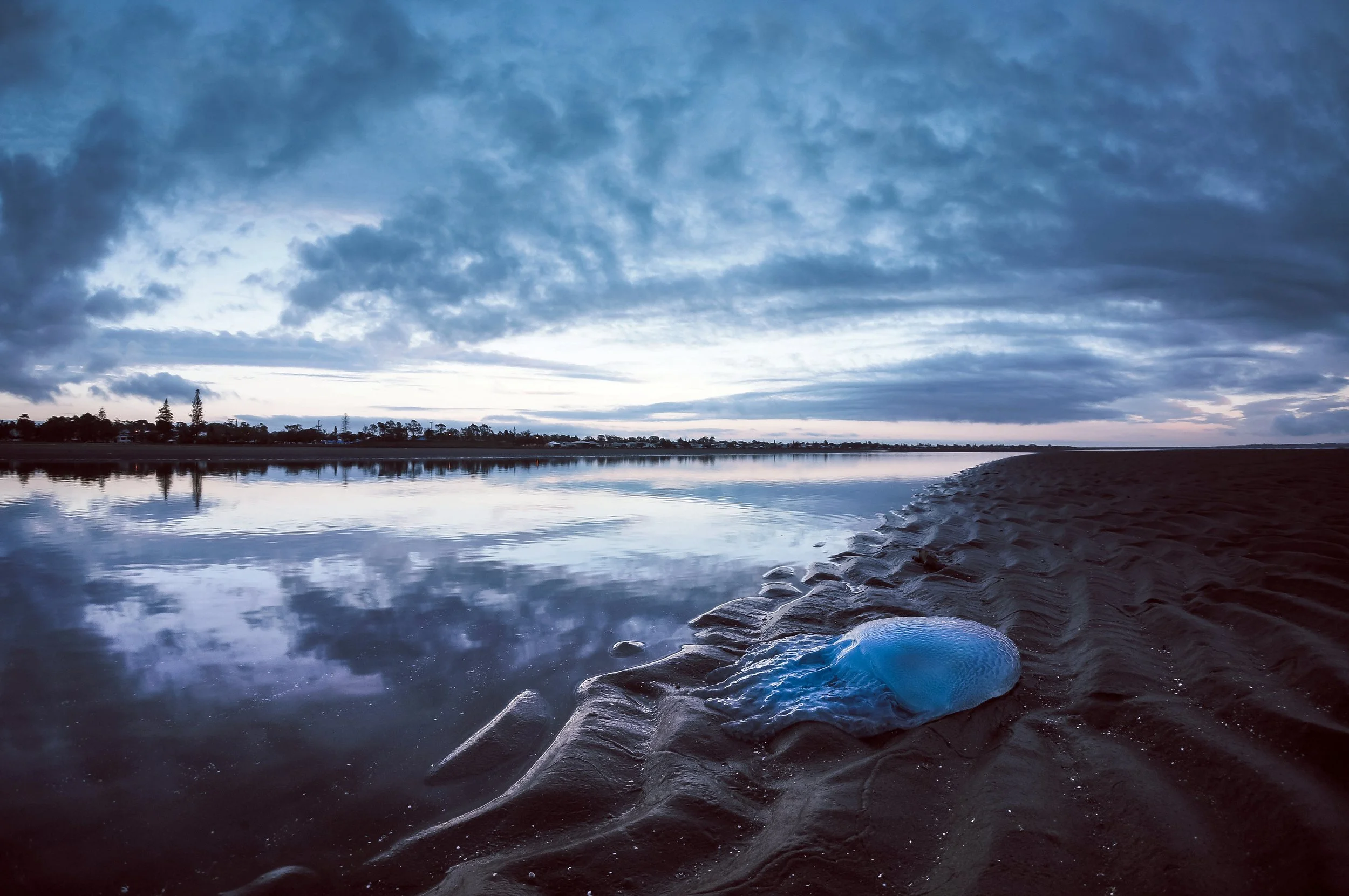 What the Tide Left Behind, Sandgate, Brisbane, 2014