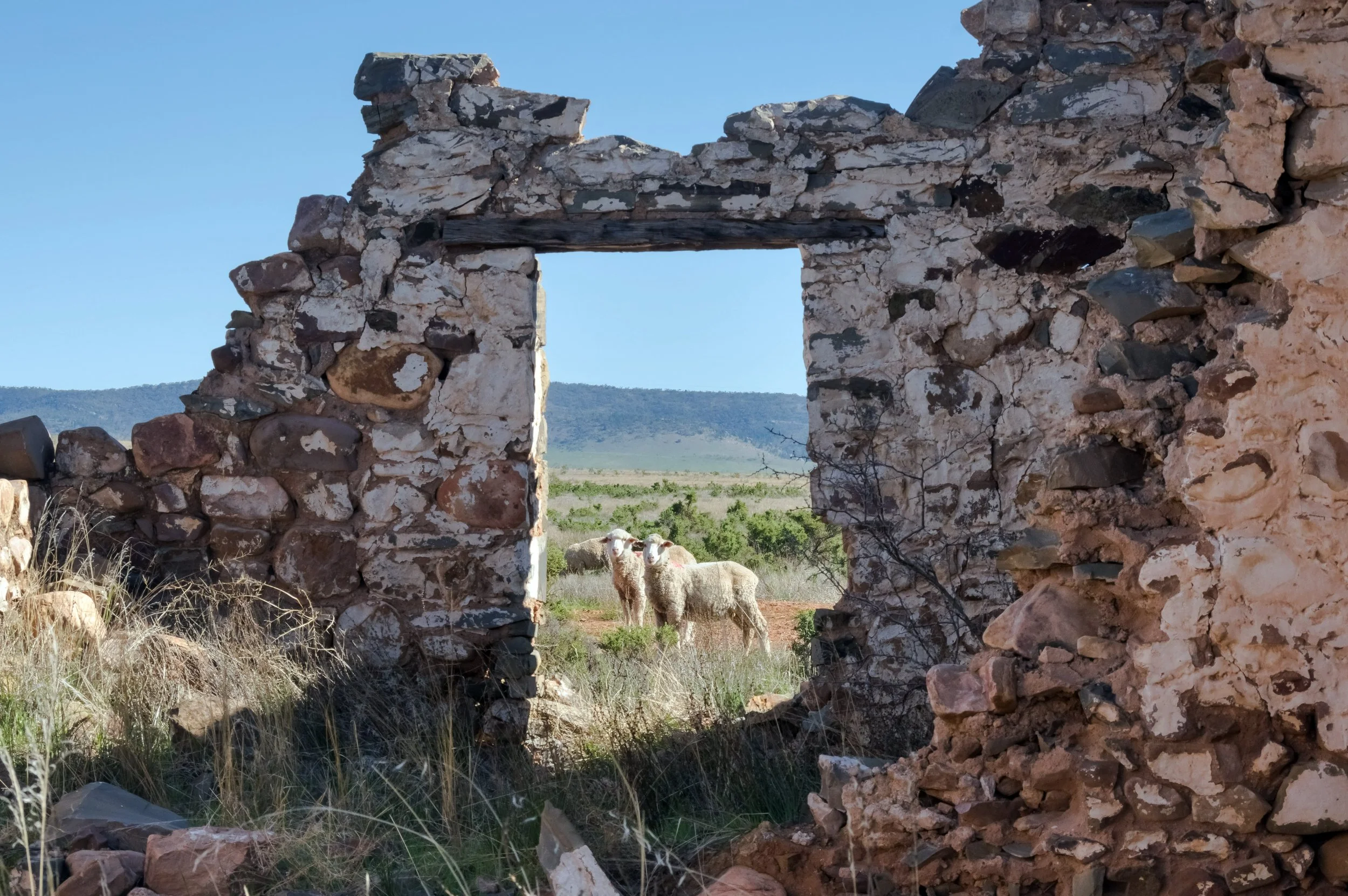 View Through a Long-Abandoned Doorway, Near Quorn, South Australia, 2023