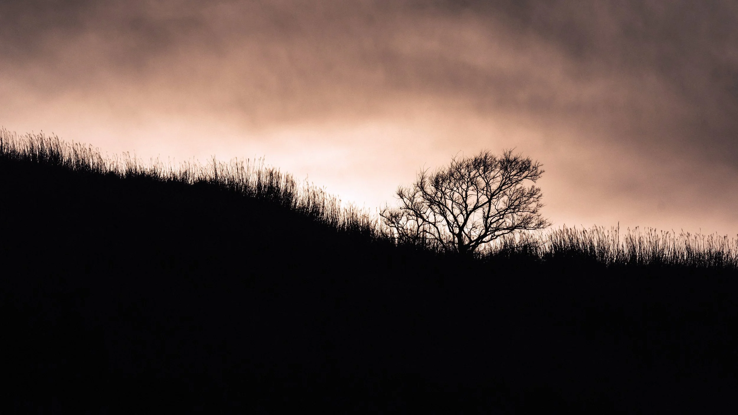 Silhouette, Mt Aso, Kumamoto Prefecture, Japan, 2020