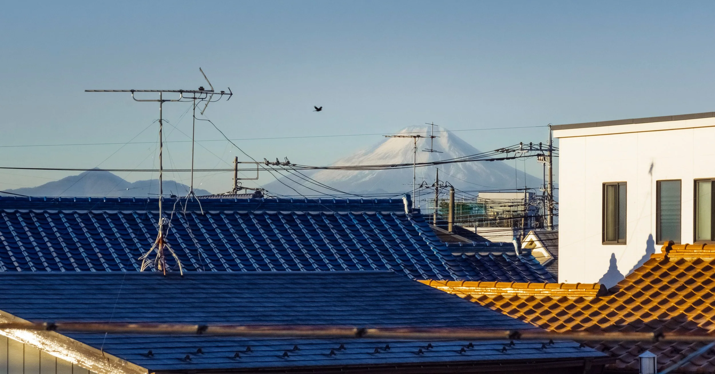 View from a Weekly All-Day Walk into Tokyo, 2020