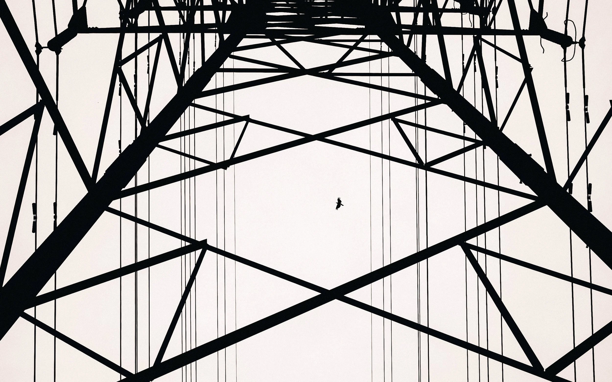 Riding the Thermals High Above Jangyu #1, South Korea, 2012