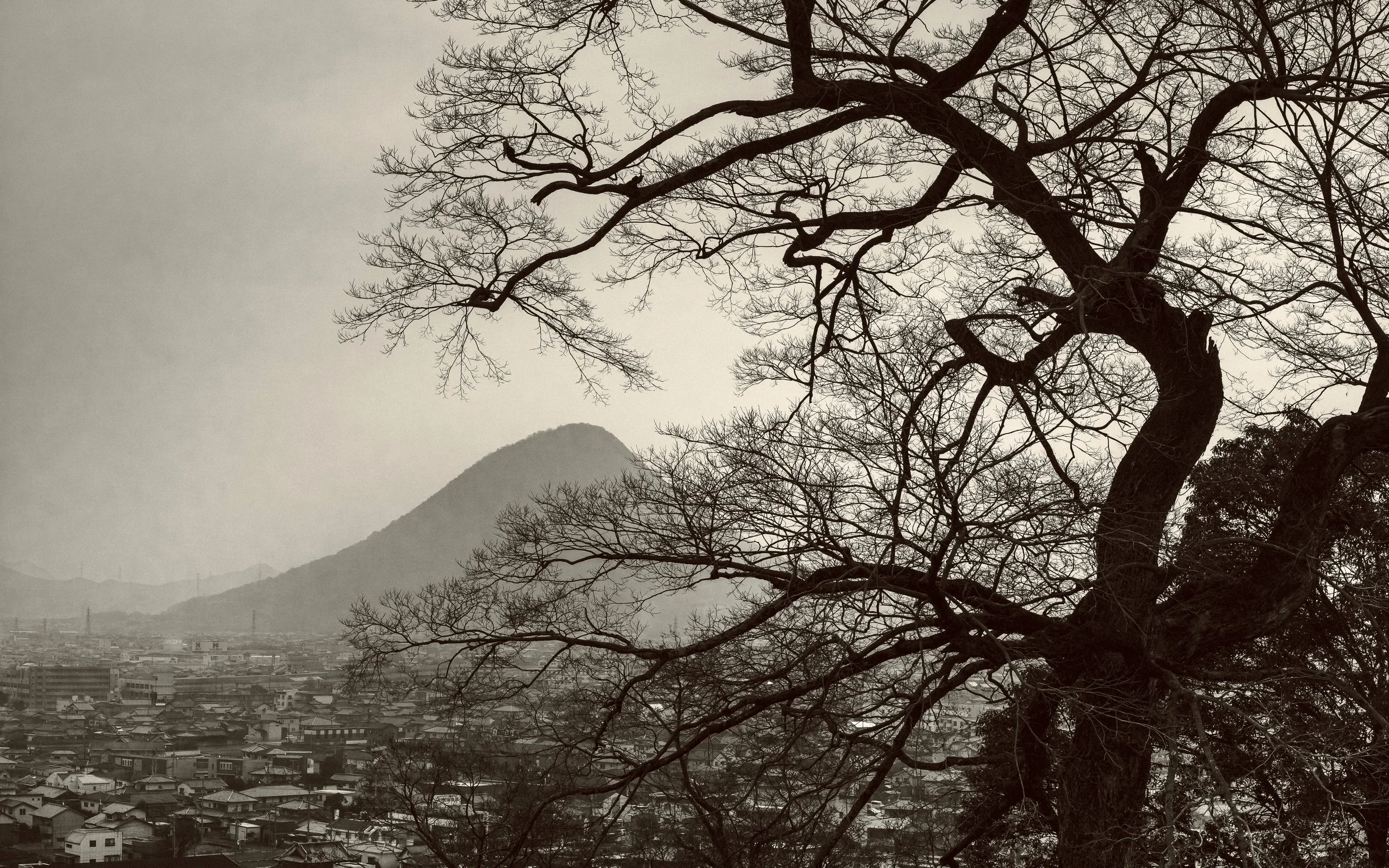 Mt Iino from Marugame Castle, Kagawa Prefecture, Japan, 2021