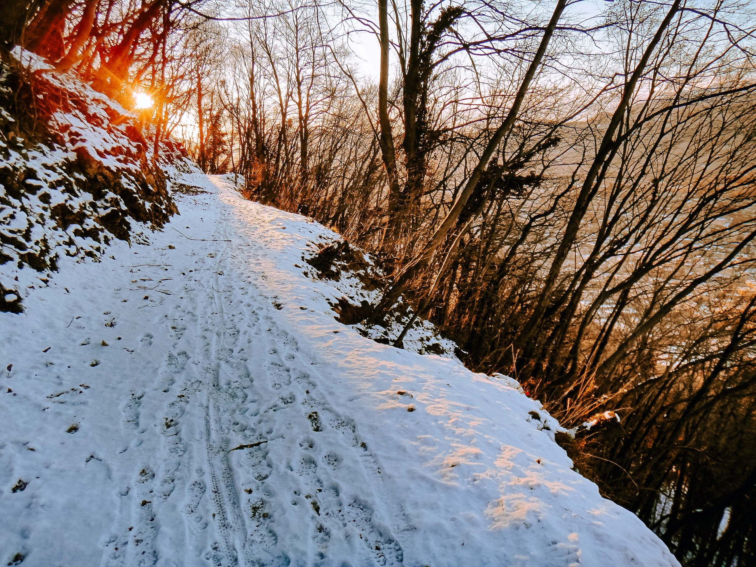 Descending Monte Brè in Late Afternoon, Lugano, Switzerland, 2010