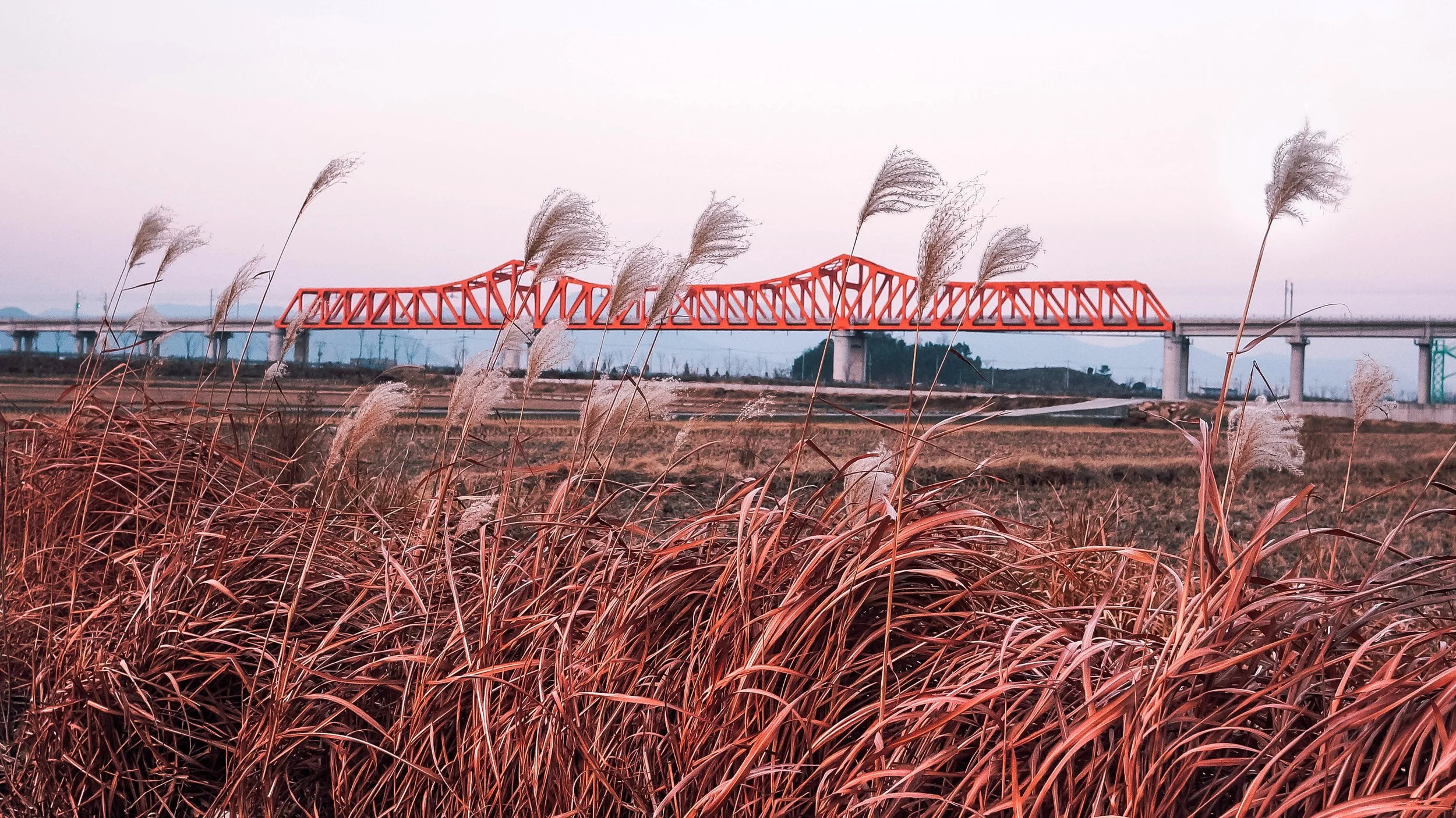 The Red Bridge, Gimhae, South Korea, 2013