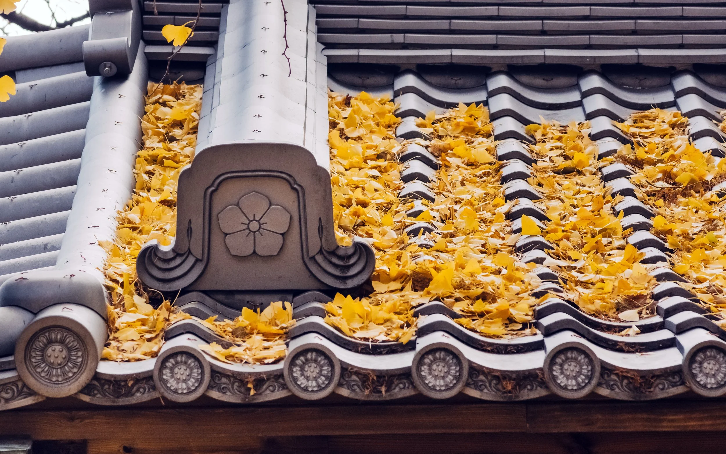 Ginkgo Leaves on Temple Tiles, Todoroki Valley, Tokyo, 2021