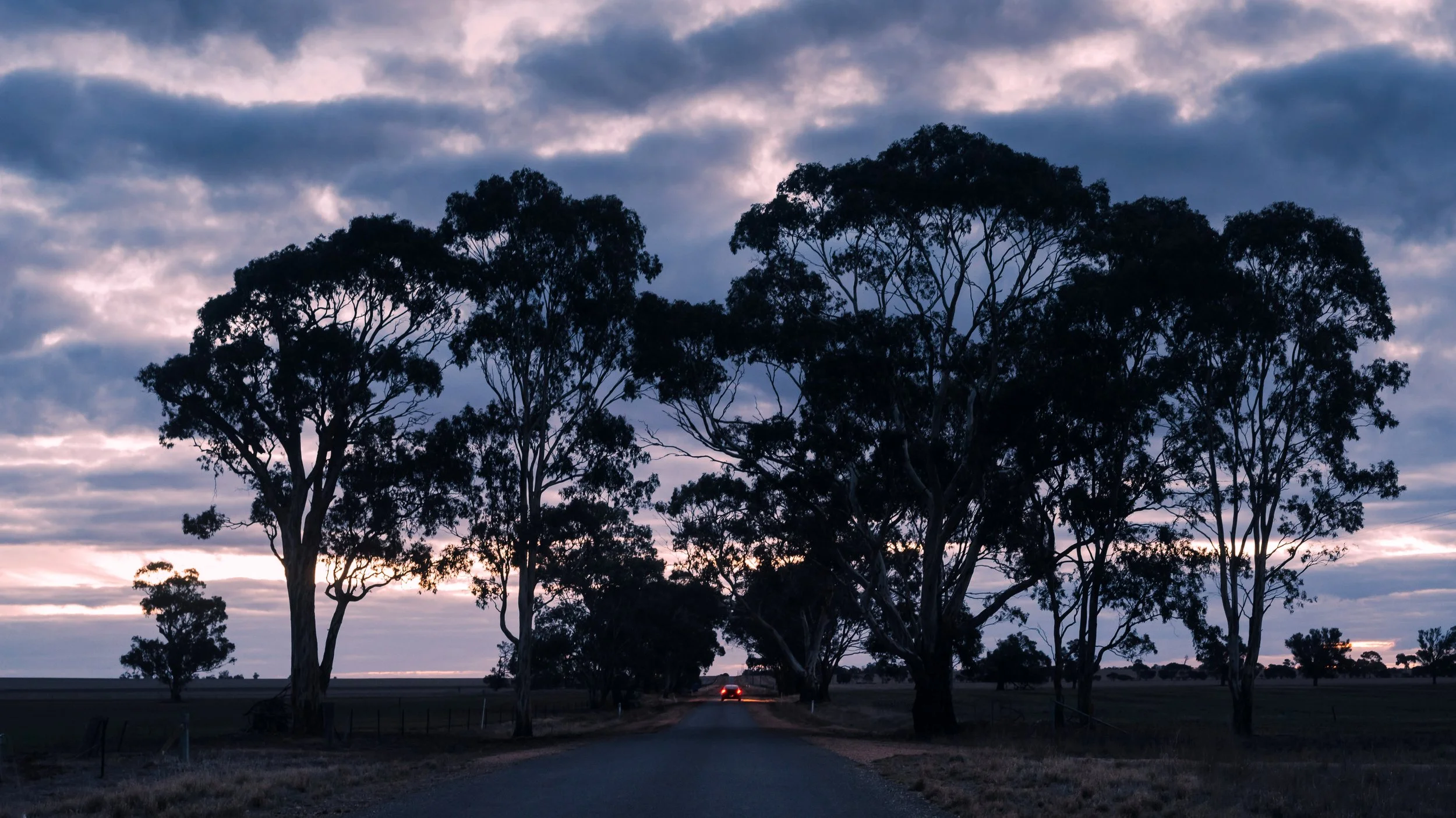 Receding Taillights, Early Evening, Marnoo, Victoria, Australia, 2025