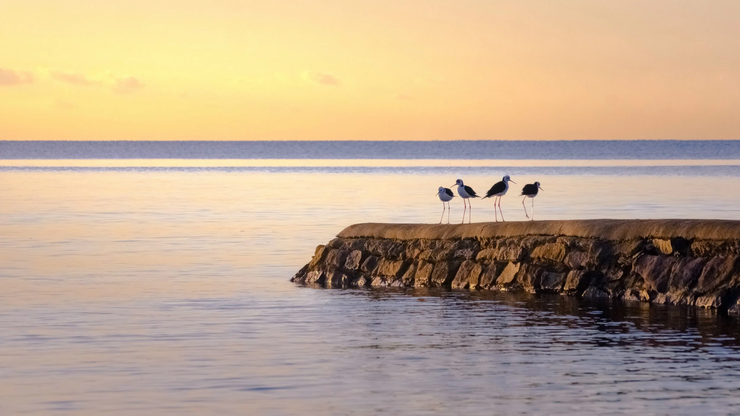 Stilts & A Morning Tide, Brighton, Brisbane, 2023