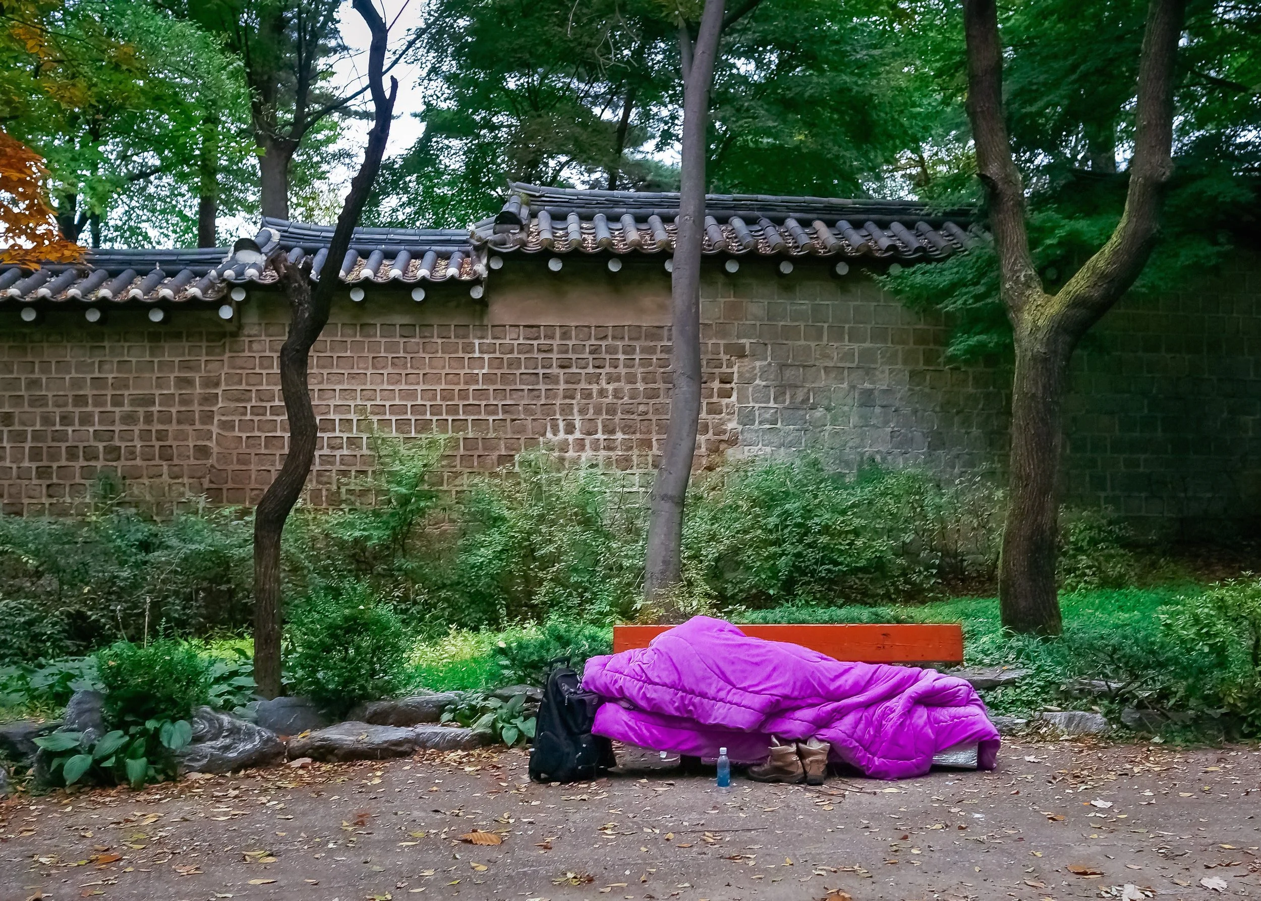 Sleeping Rough Outside the Palace Walls, Seoul, South Korea, 2012