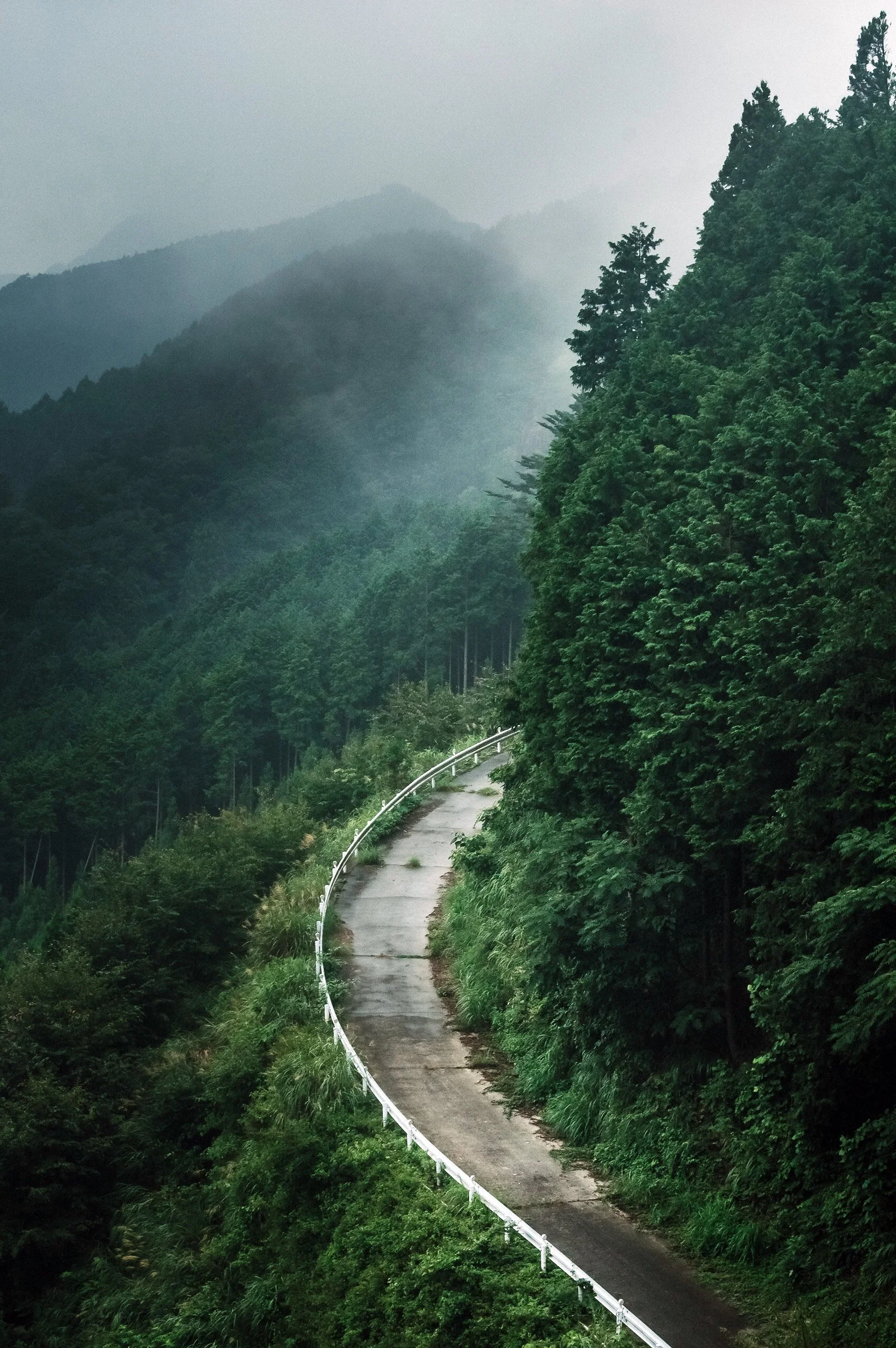 Forestry Road near Mitake, Okutama, Japan, 2019