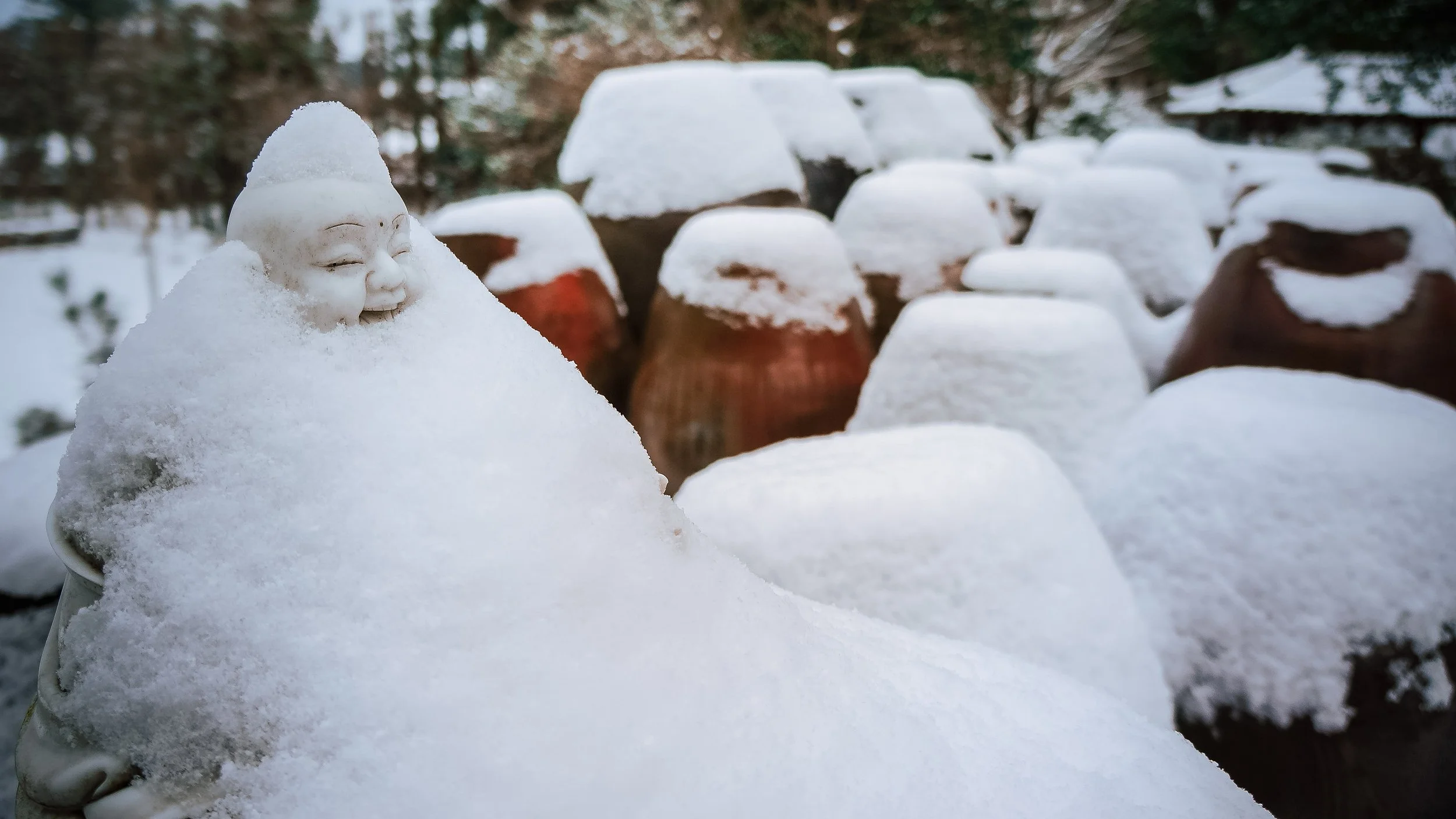 The Buddha & the Kimchi Jars, Jeju Island, South Korea, 2012