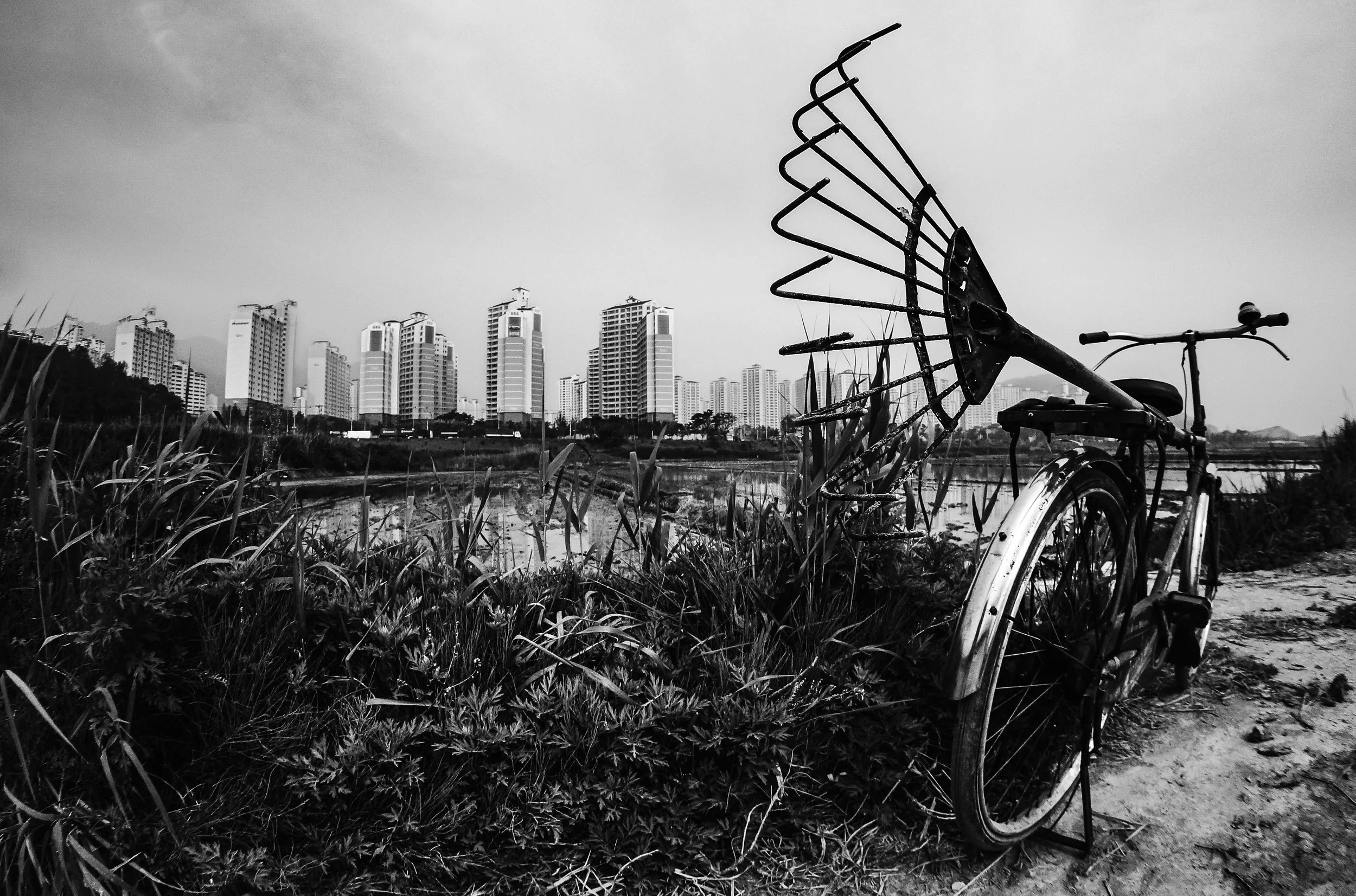 Encroachment, Yulha, South Korea, 2013