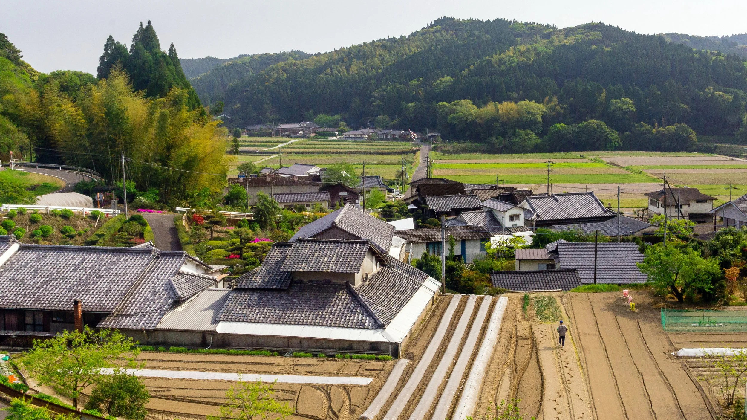 Sowing Seeds, Miyakonojo, Miyazaki Prefecture, Jpaan, 2018