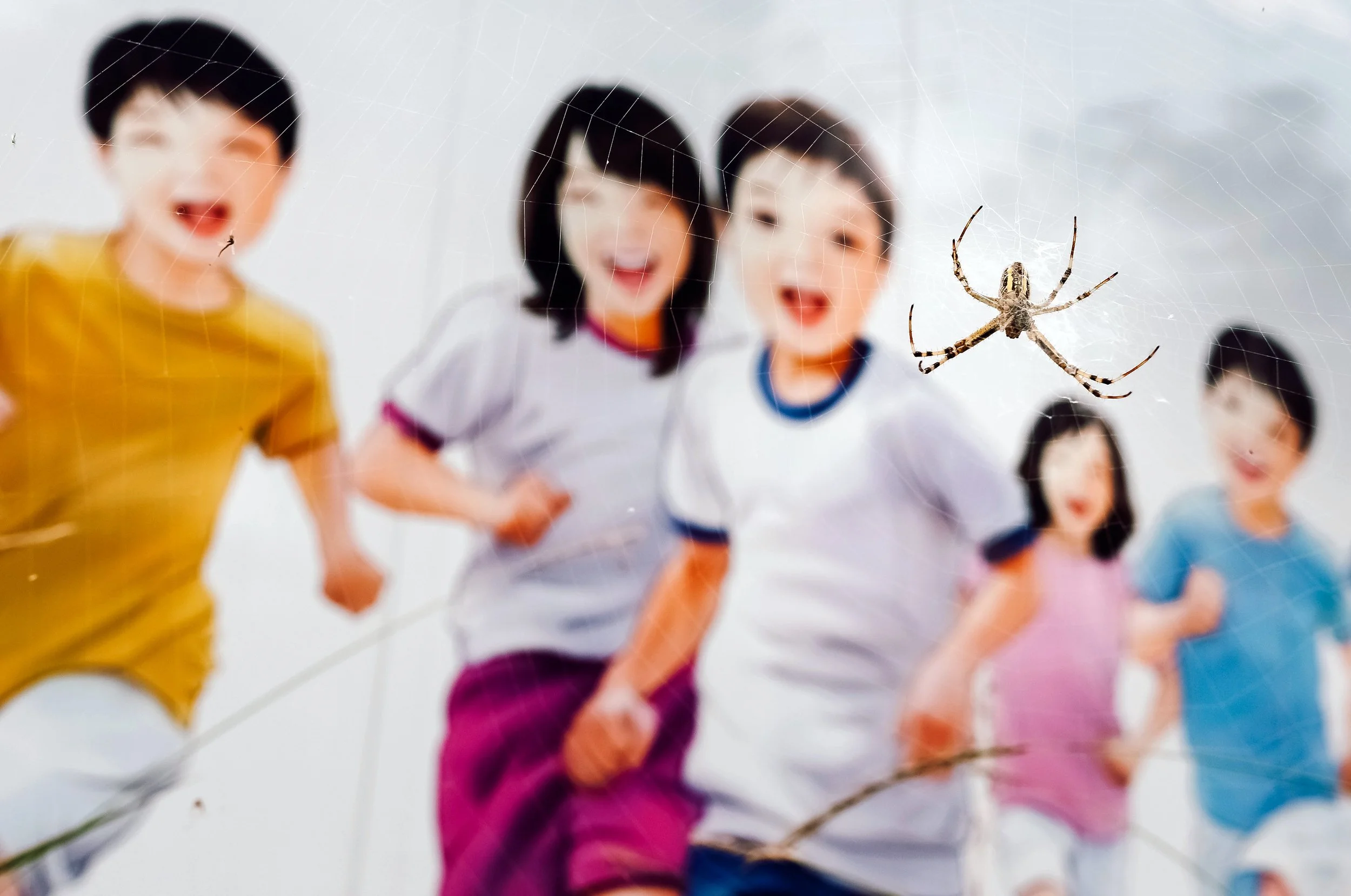 Spidey Senses Tingling, Gimghae, South Korea, 2013