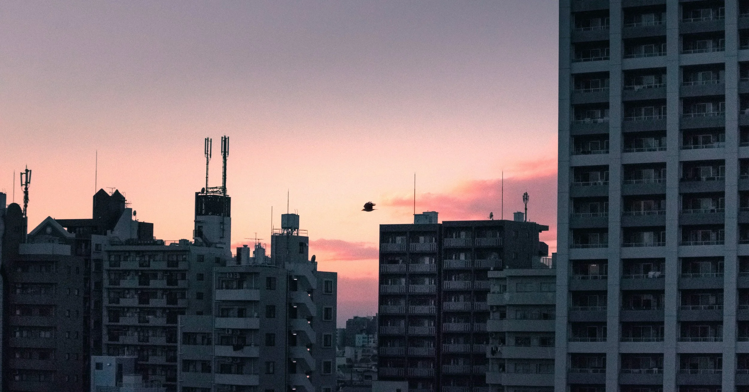Lone Crow & the Ikebukuro Skyline, Nightfall, Tokyo, 2020