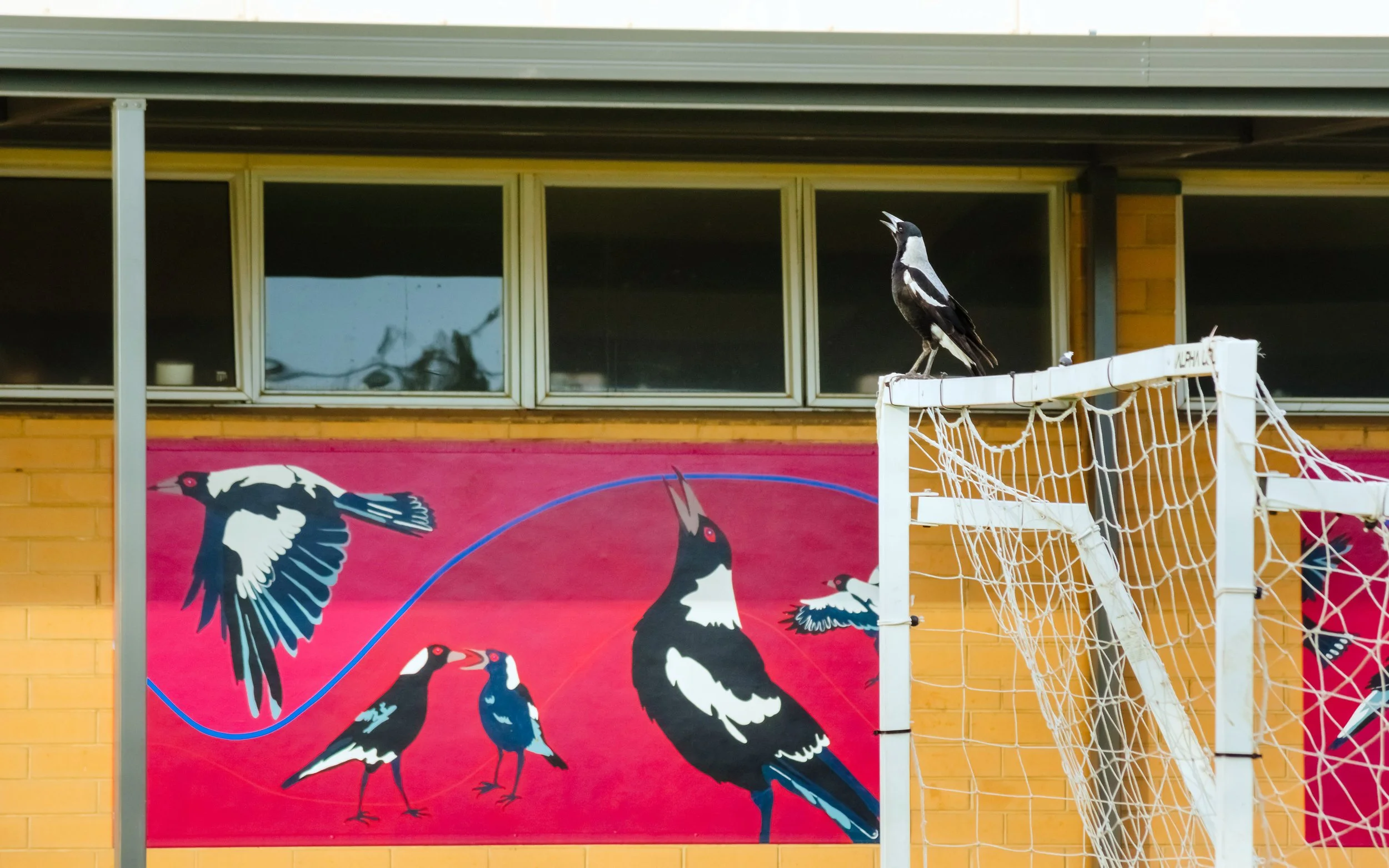 Art Vs Model, Prospect, South Australia, 2023