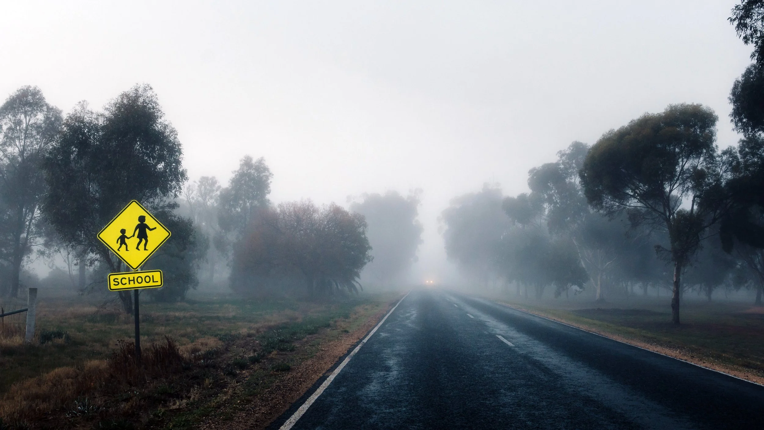 Winter Fog, Marnoo, Victoria, 2024