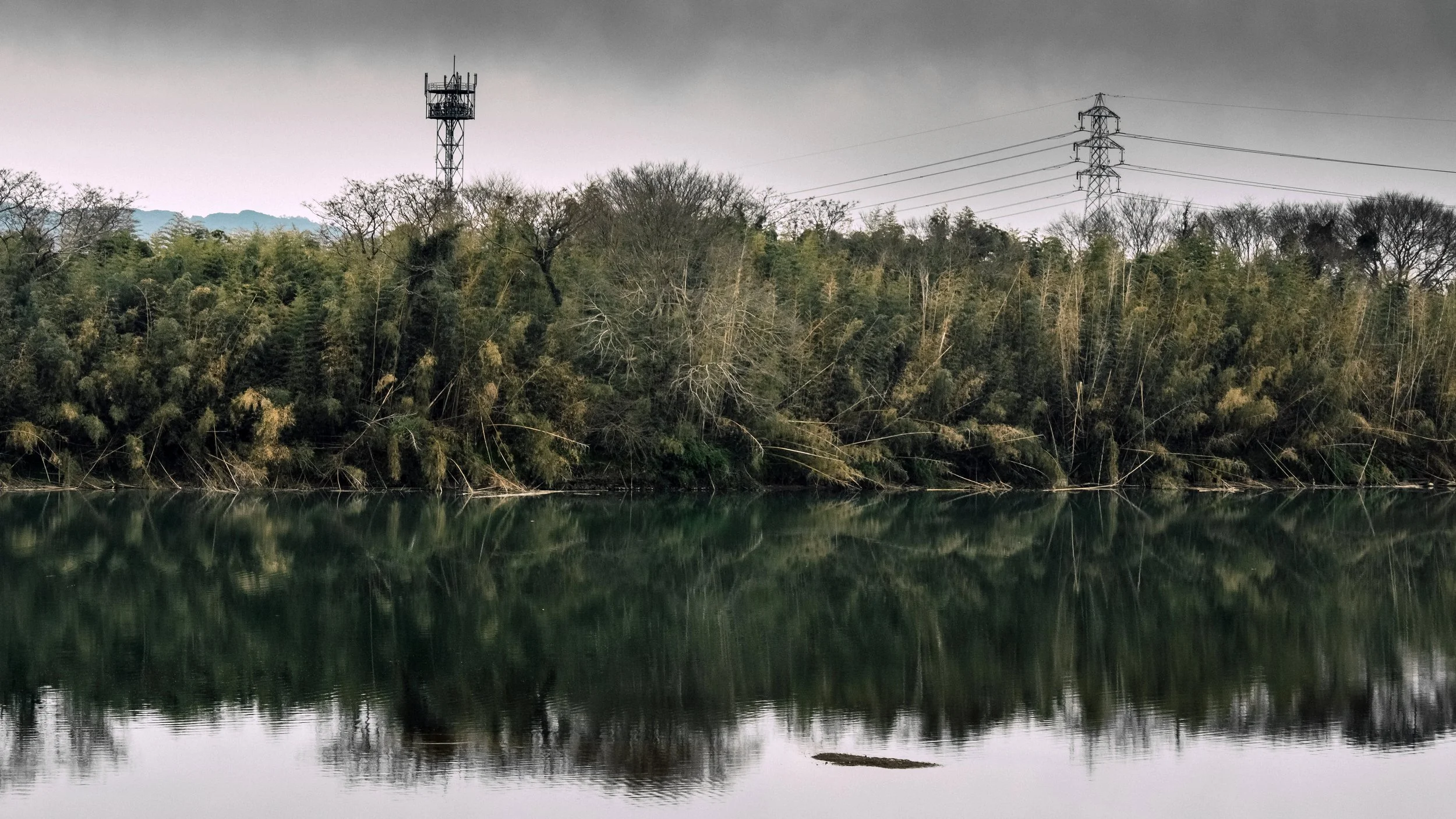 Another Green World: The Midori River, Kumamoto, Japan, 2020