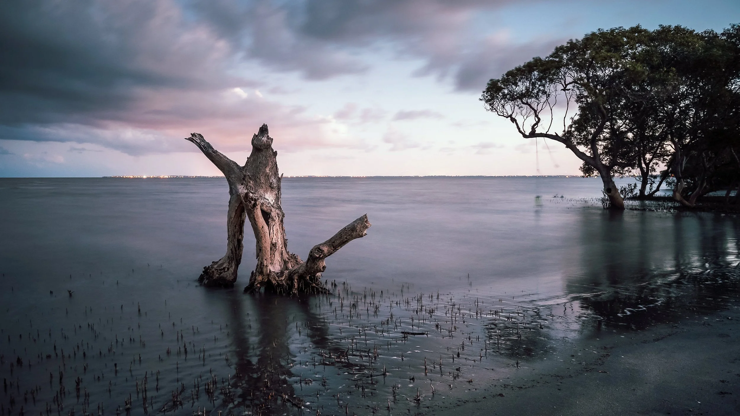 The Old-Timer at Day's End, Beachmere, Queensland, 2015