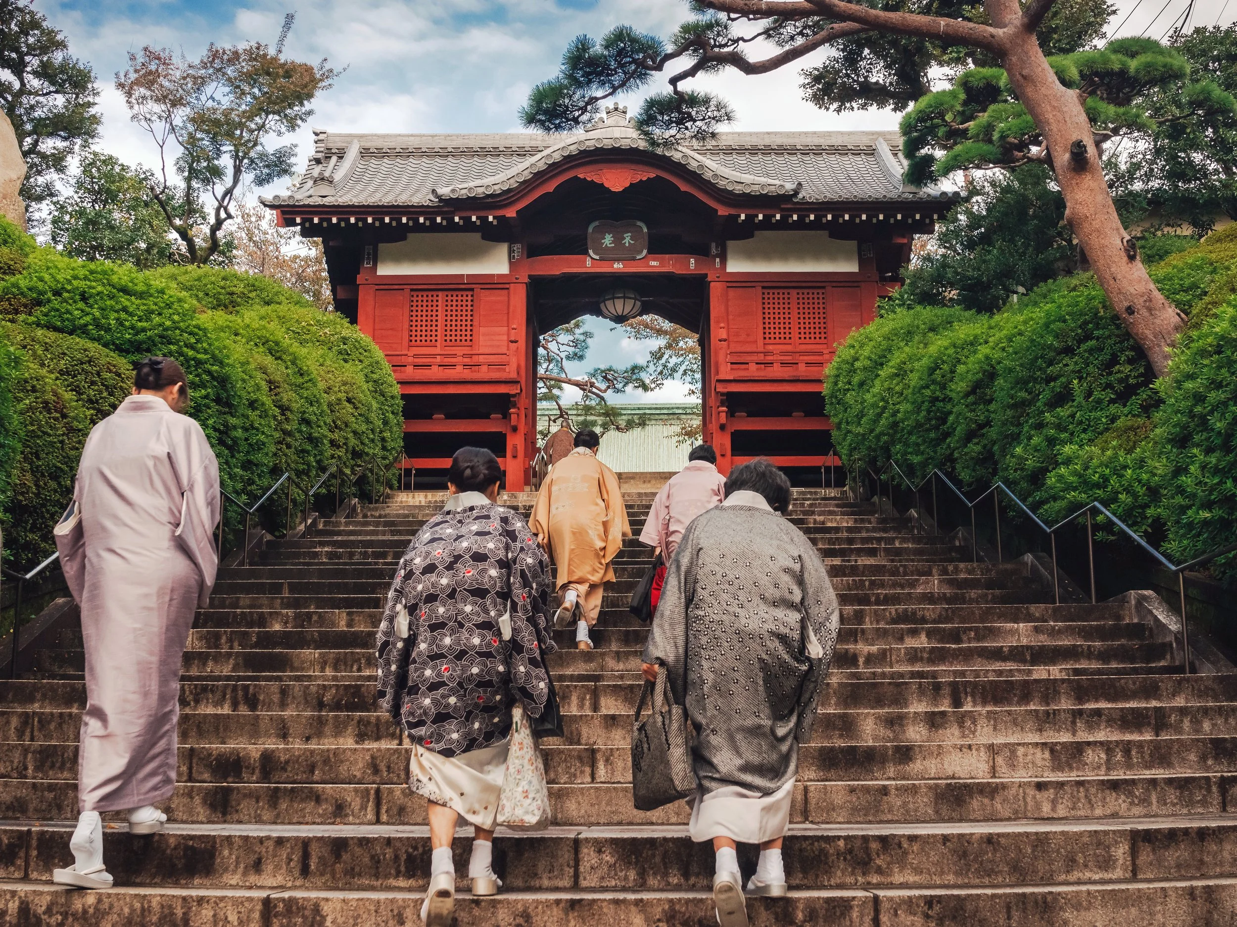 Culture Day at Gokoku Temple #2, Tokyo, 2019